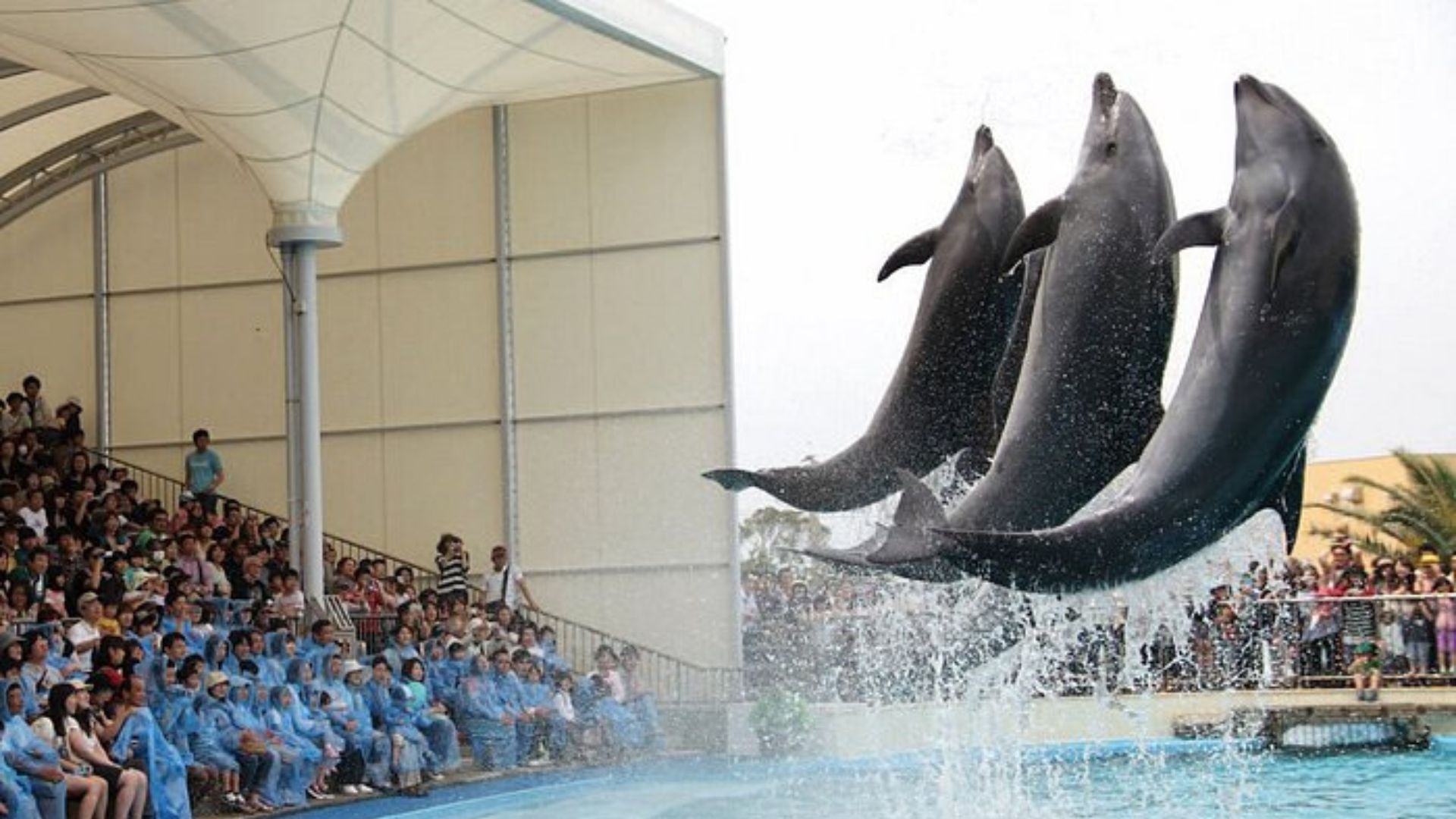 Townscapes and sightseeing spots in Fukui