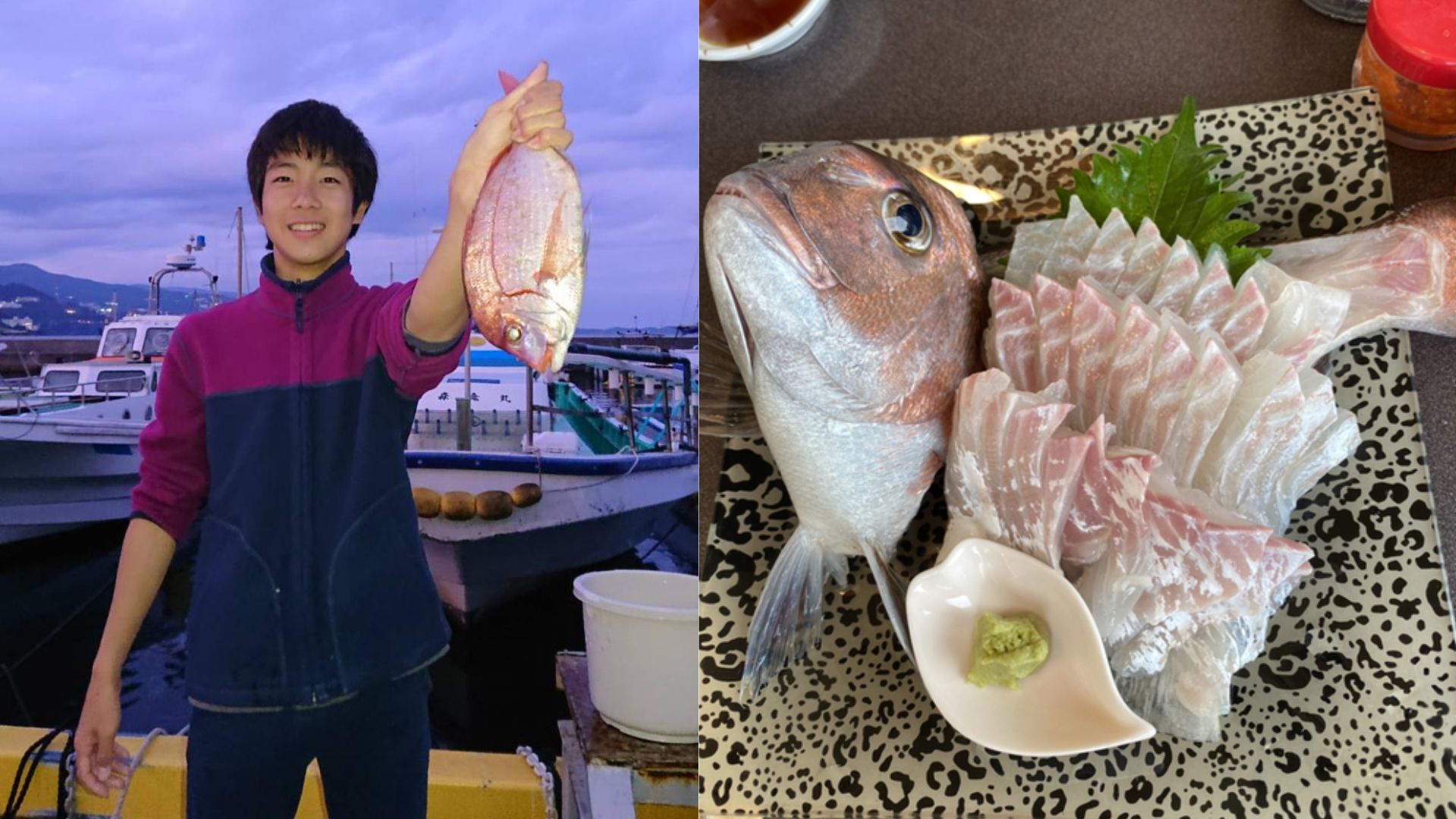 Freshly caught fish in Fukui — dangerously delicious.