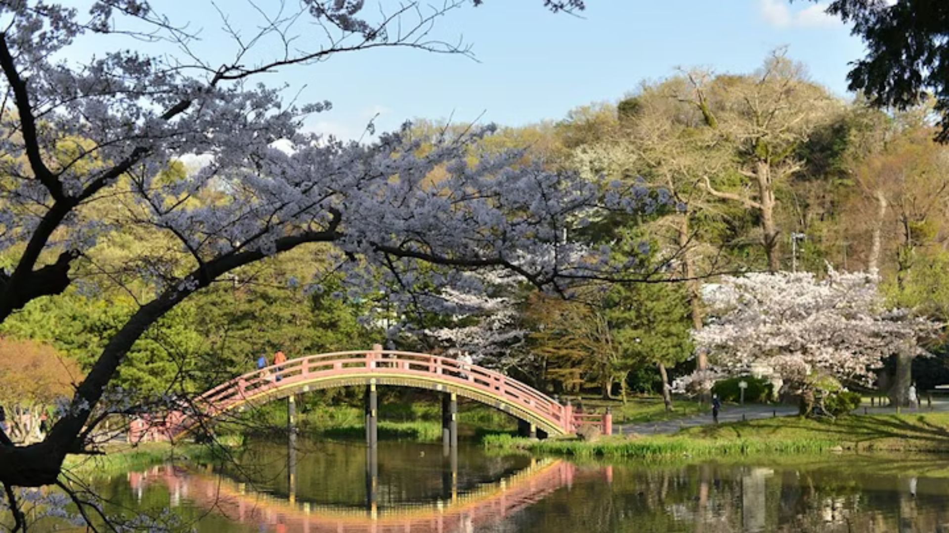 Townscapes and sightseeing spots in Fukui