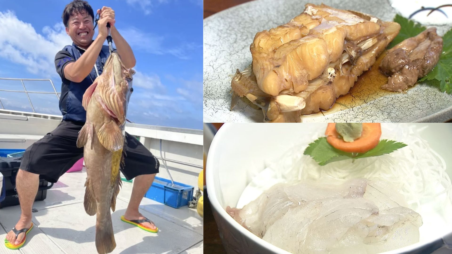 Freshly caught fish in Fukui — dangerously delicious.