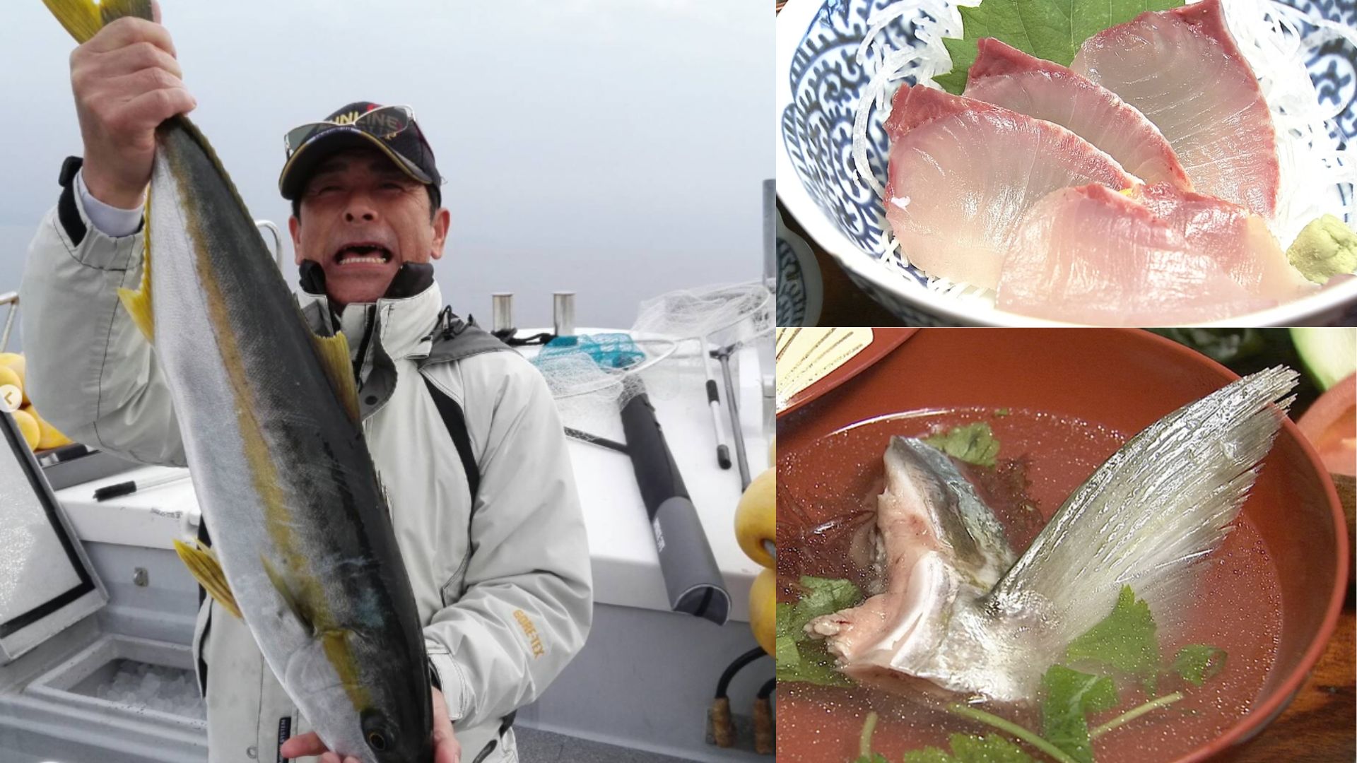Freshly caught fish in Fukui — dangerously delicious.