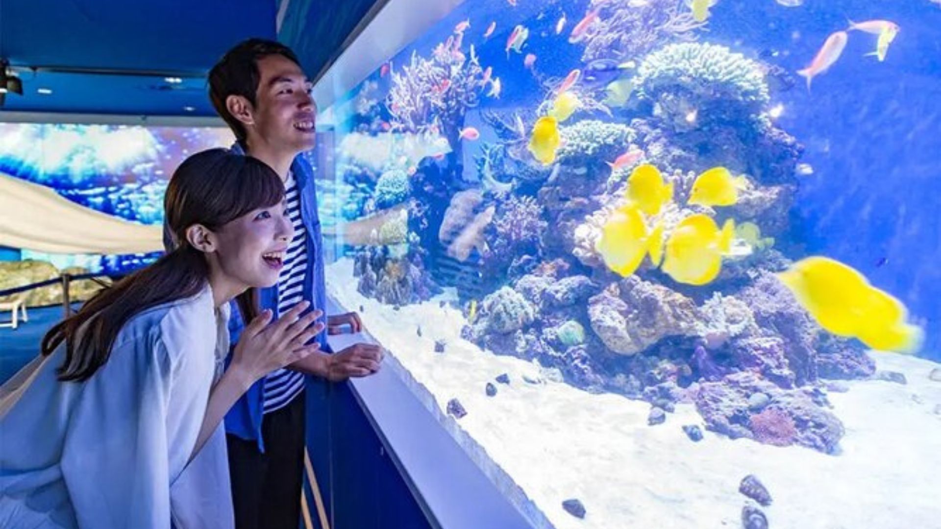 Townscapes and sightseeing spots in Fukui