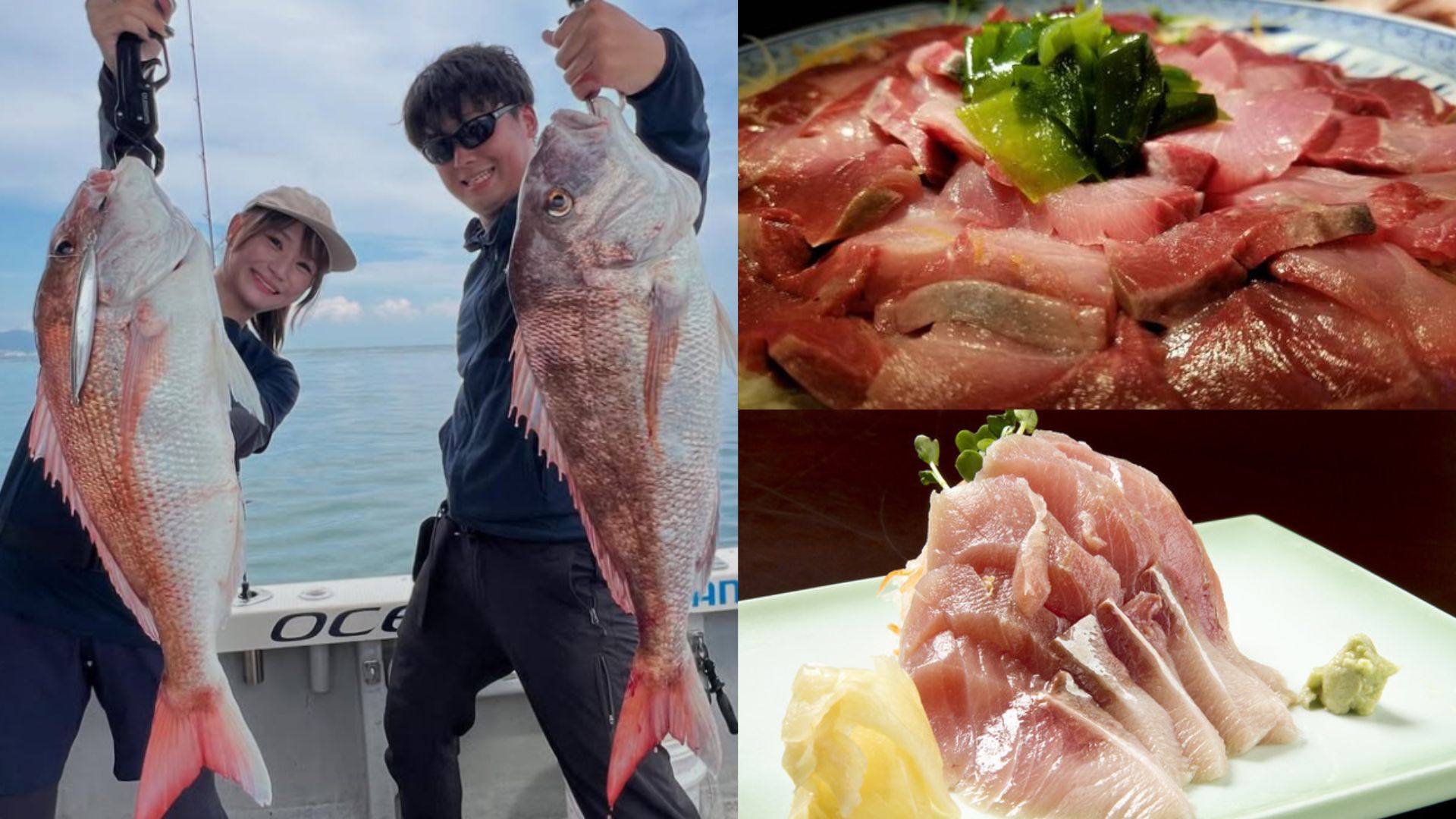 Freshly caught fish in Fukui — dangerously delicious.