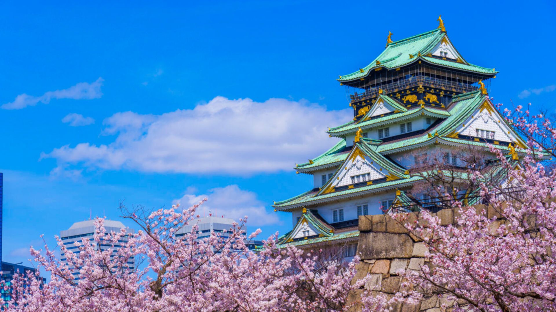 Osaka’s bayside neighborhoods and backstreets away from the usual tourist routes.
