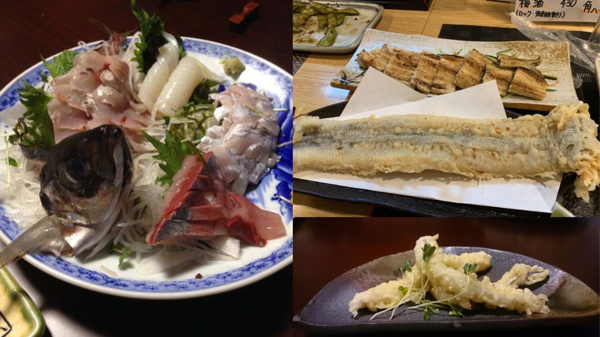 Fresh Osaka Bay fish from FUJIYAMA turned into sashimi, grills, and small plates at Umaimono-ya Aduma.