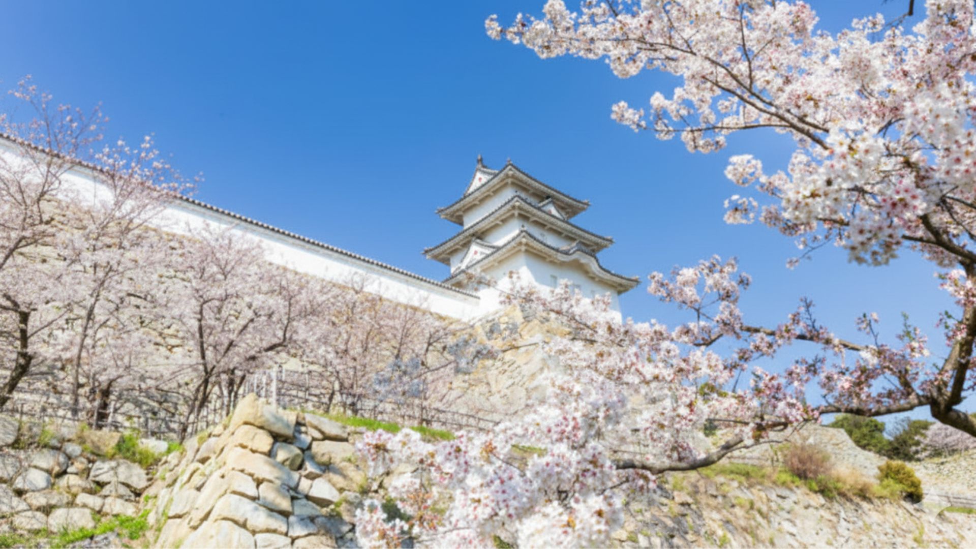 Townscapes of Akashi and the calm coastline of Awaji Island.