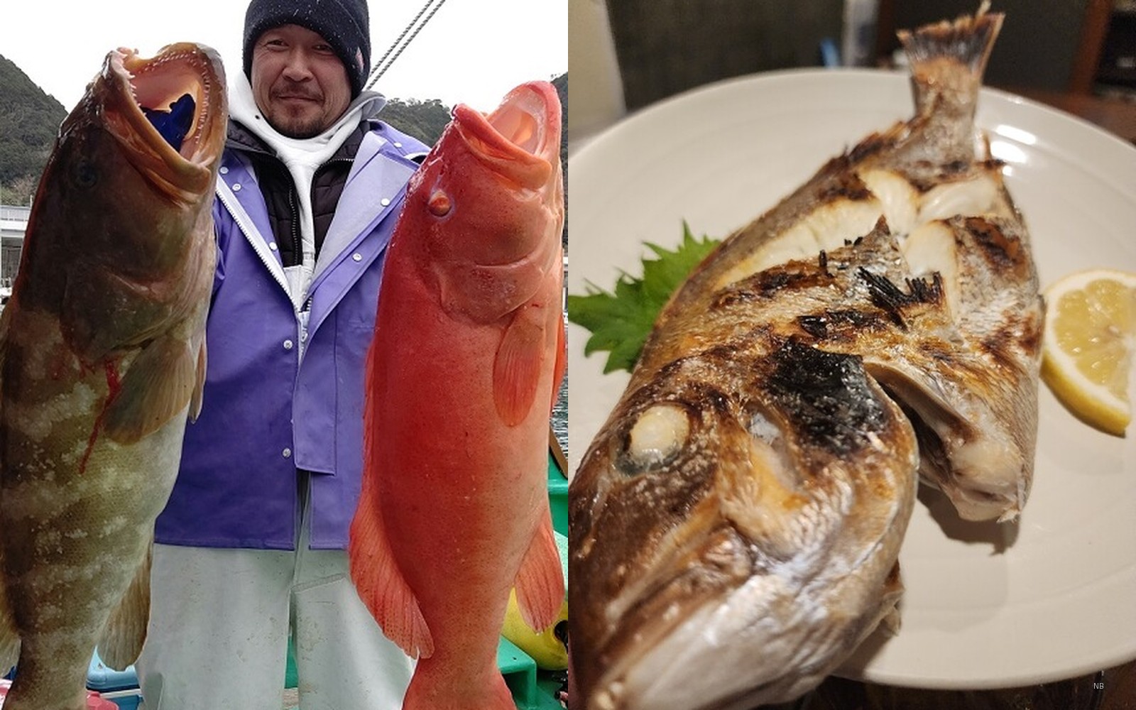 Freshly caught fish — dangerously delicious.