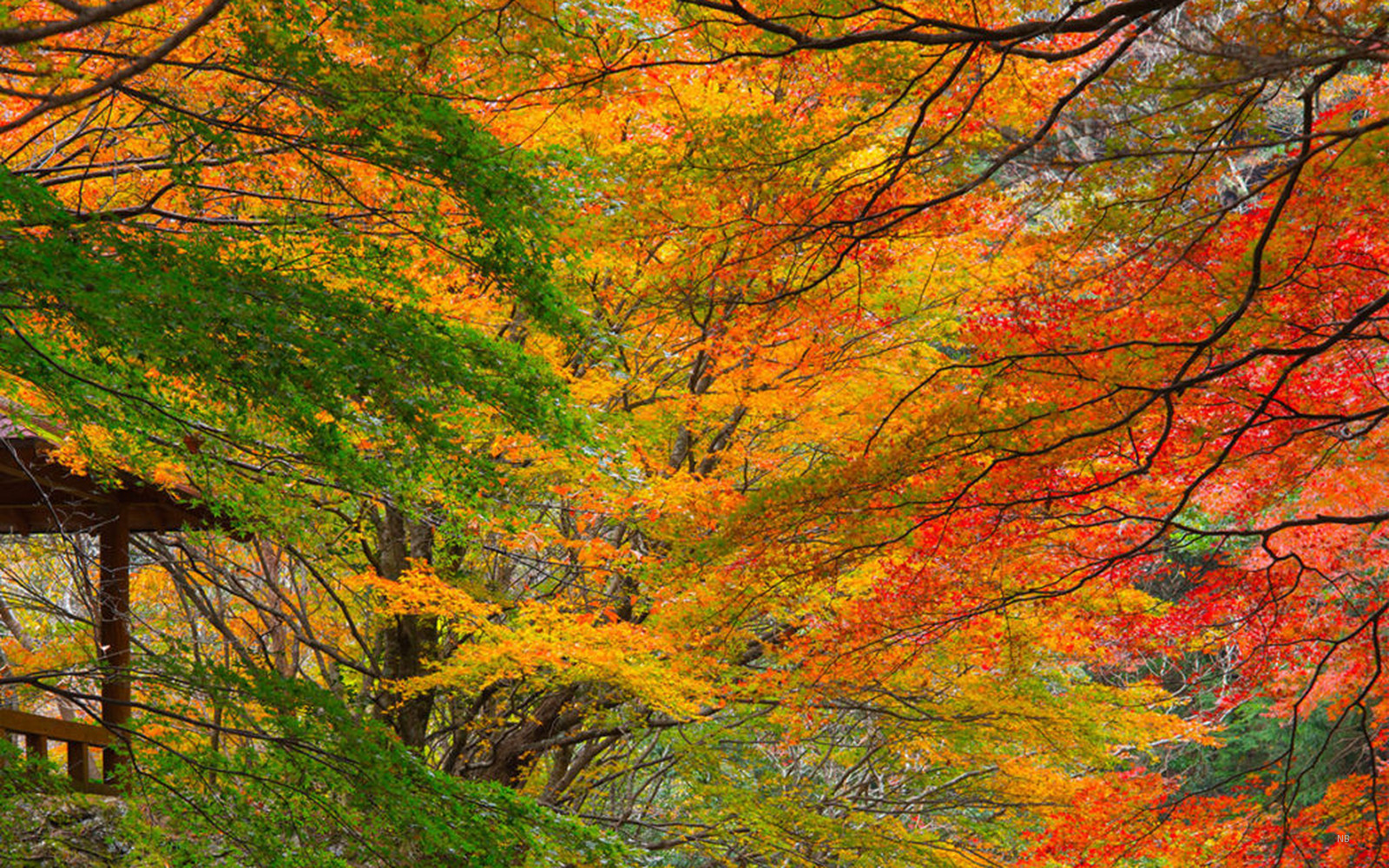 Townscapes and sightseeing spots in Fukui