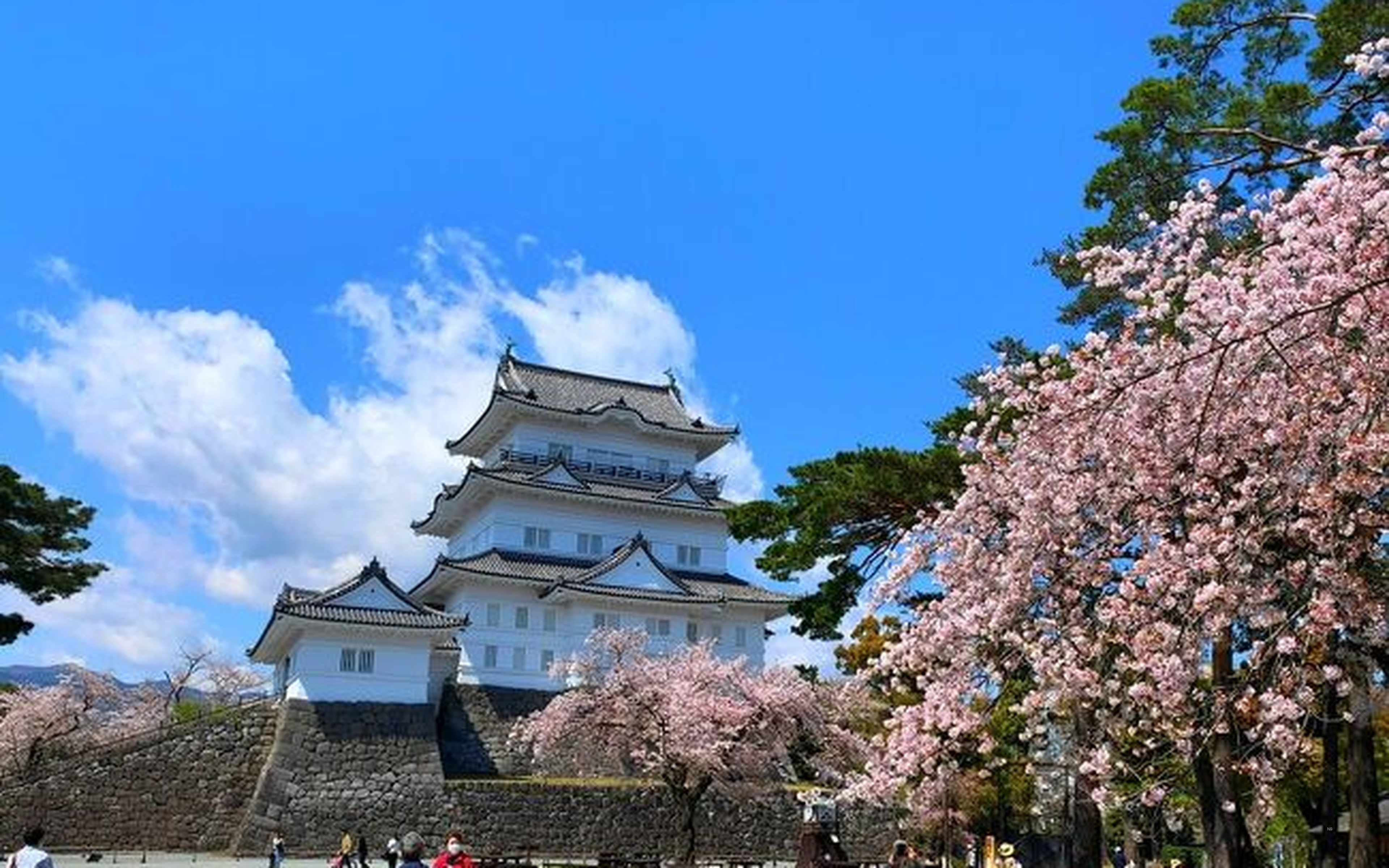Townscapes and seaside atmosphere in Hayama
