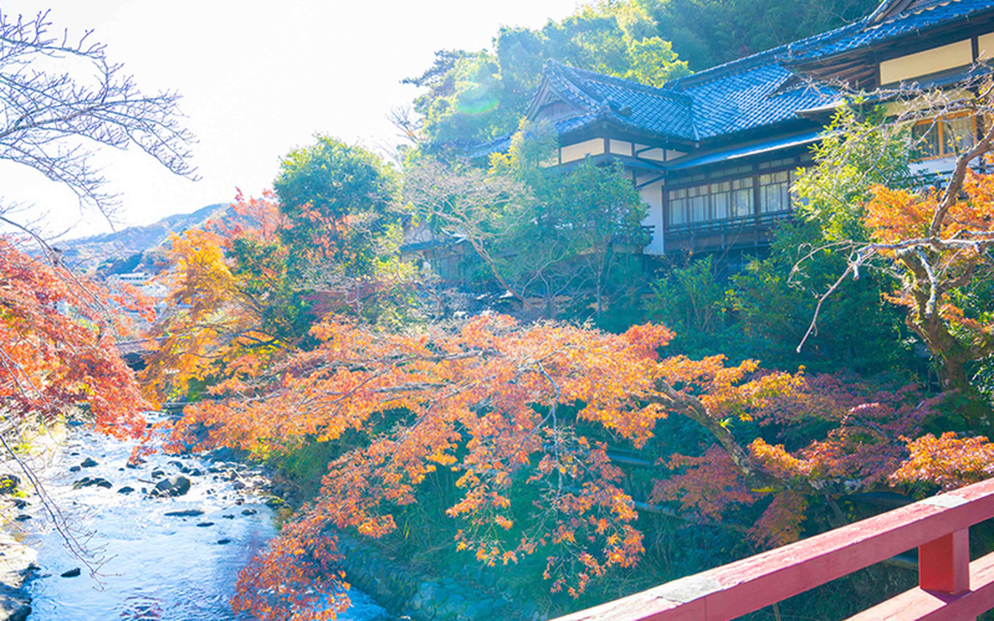 A calm, local side of Japan just outside Tokyo.