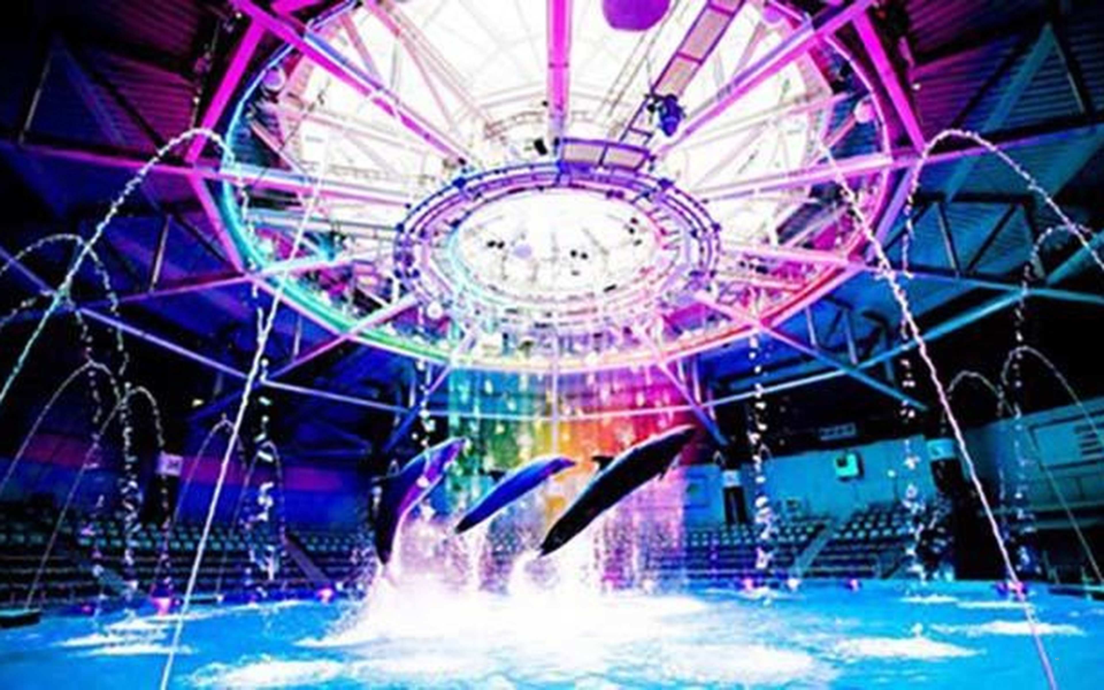 A calm Tokyo waterfront — the city’s secret rhythm.