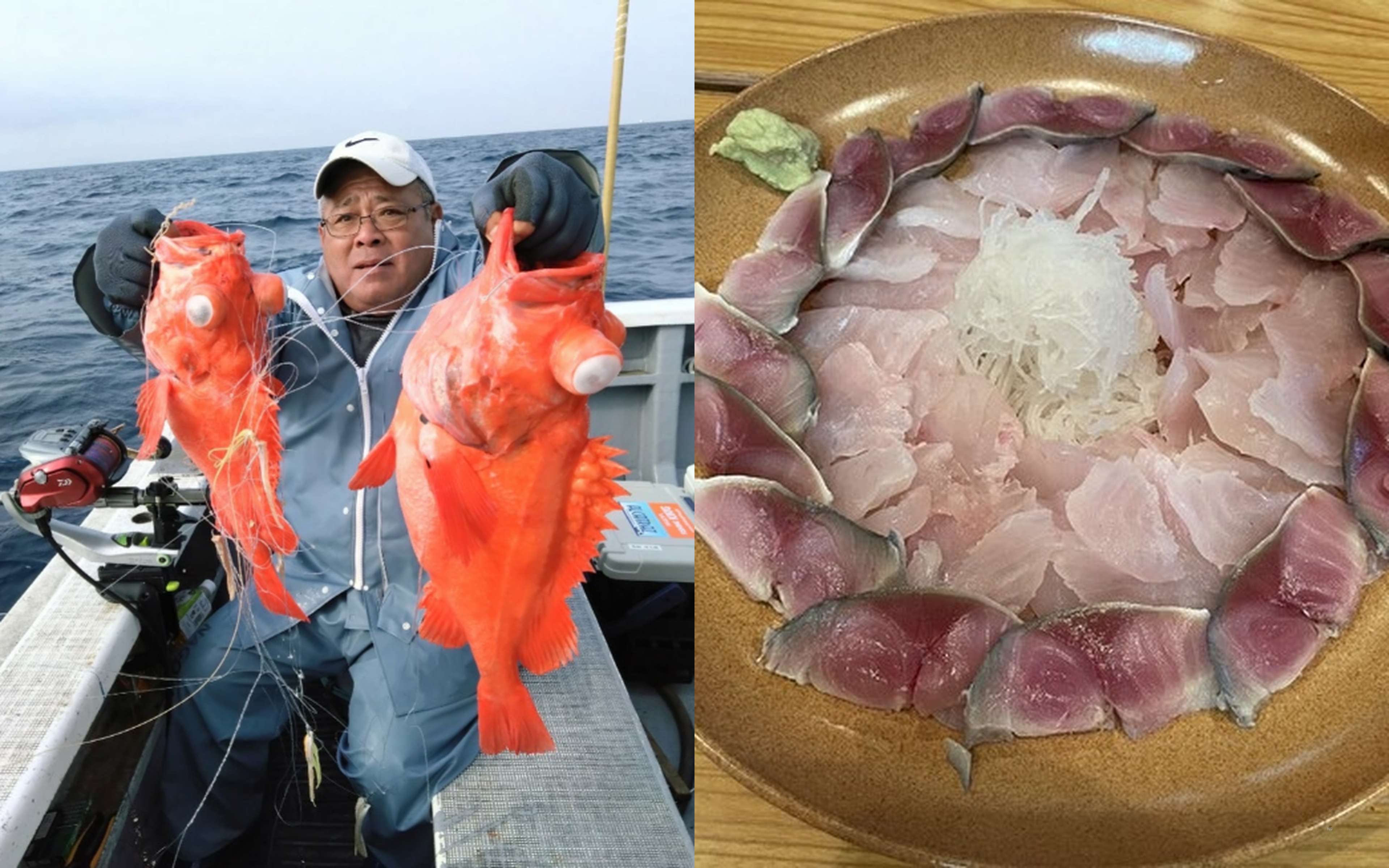 Freshly caught fish — dangerously delicious.