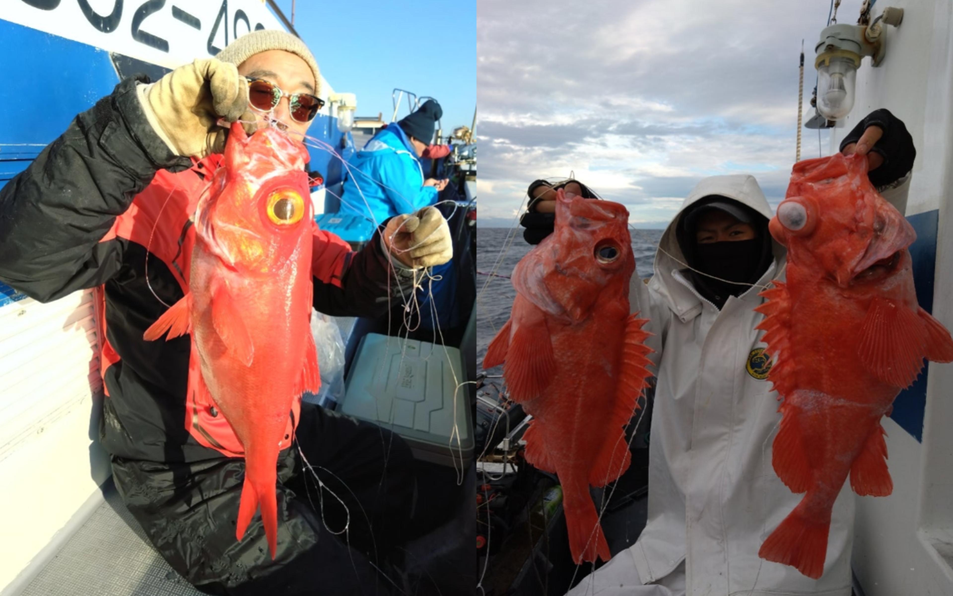 A family-friendly boat with clean facilities and a kind captain