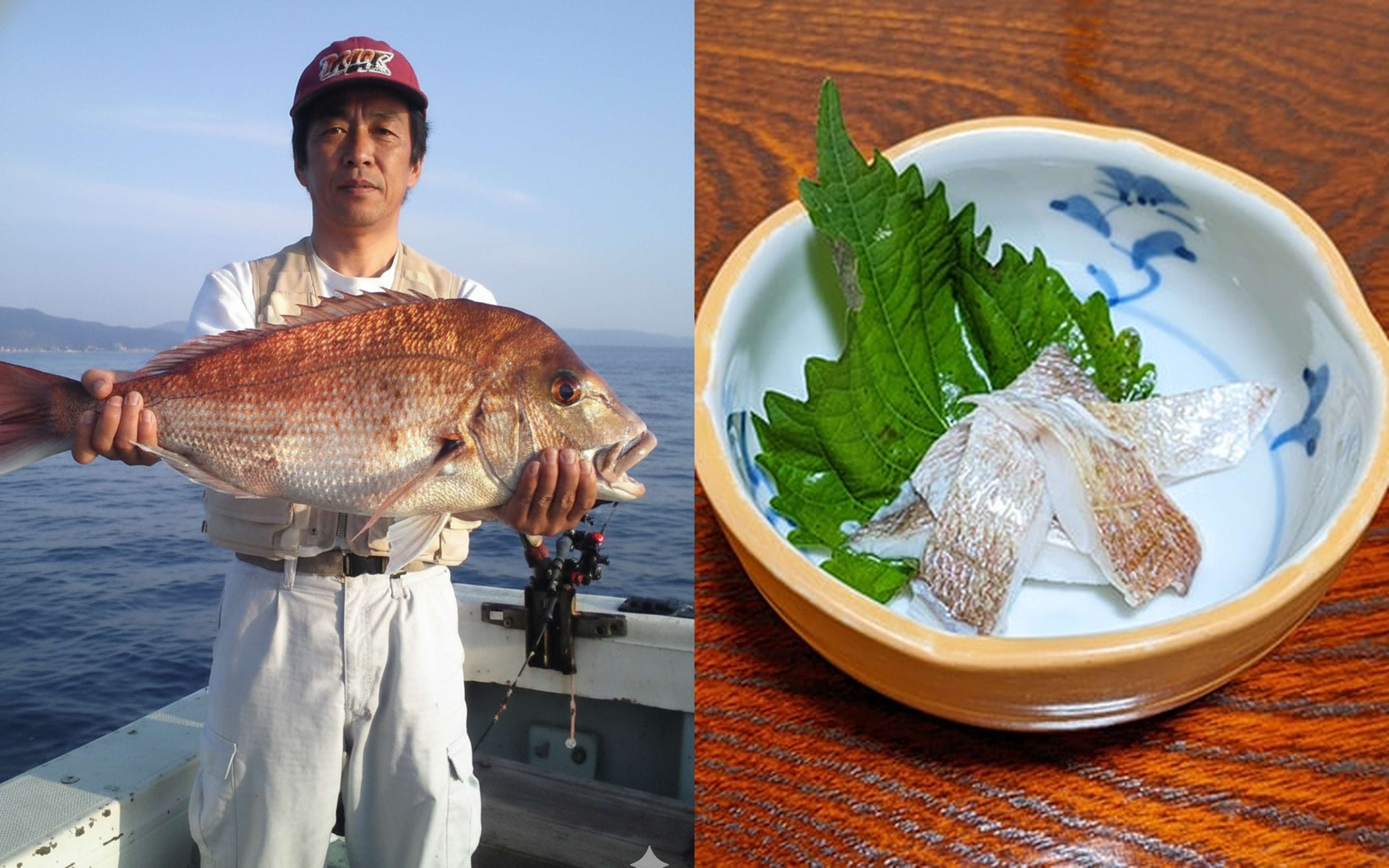 Freshly caught fish in Fukui — dangerously delicious.
