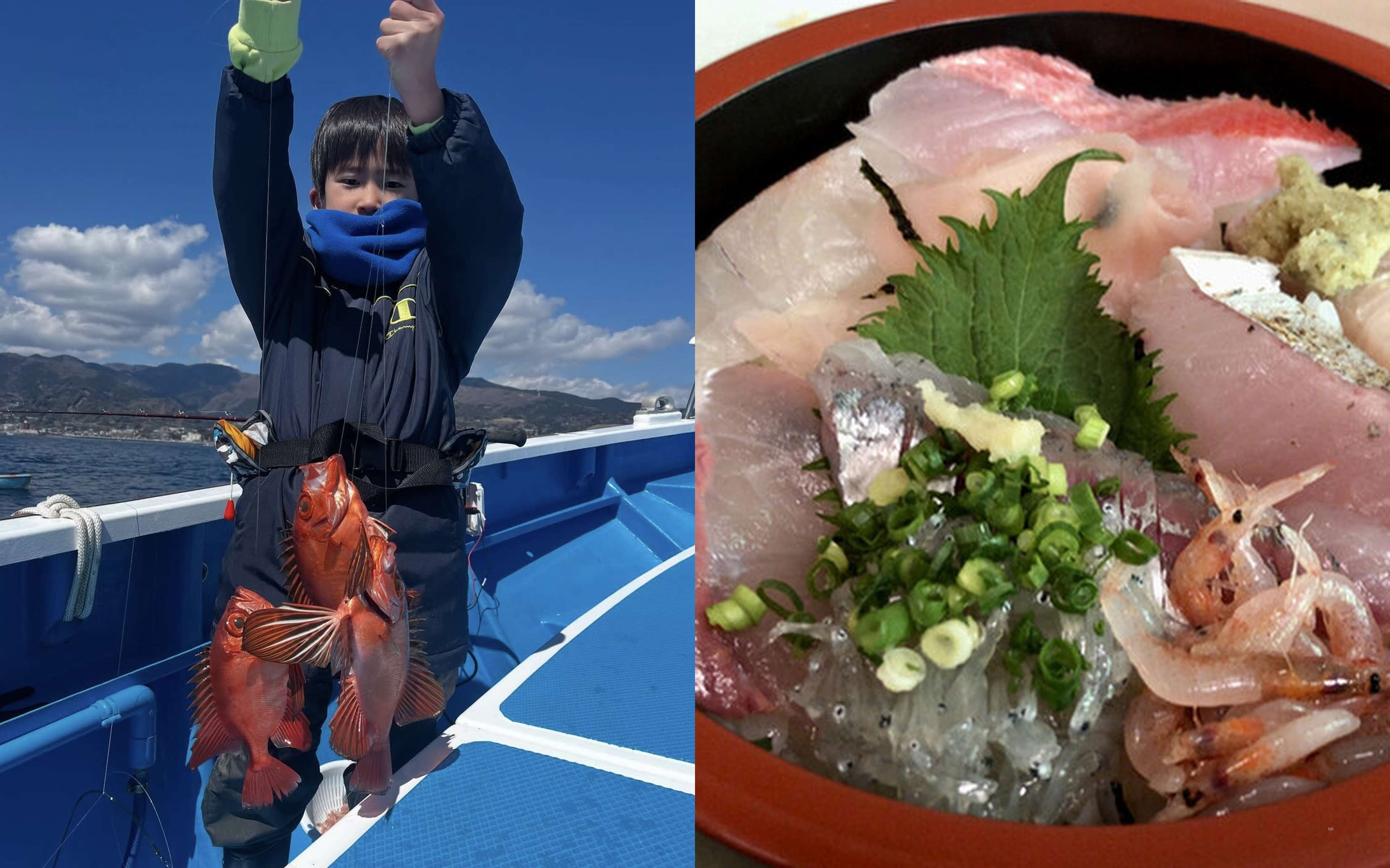 A boy lifting two red fish, and a seafood rice bowl topped with whitebait and sakura shrimp