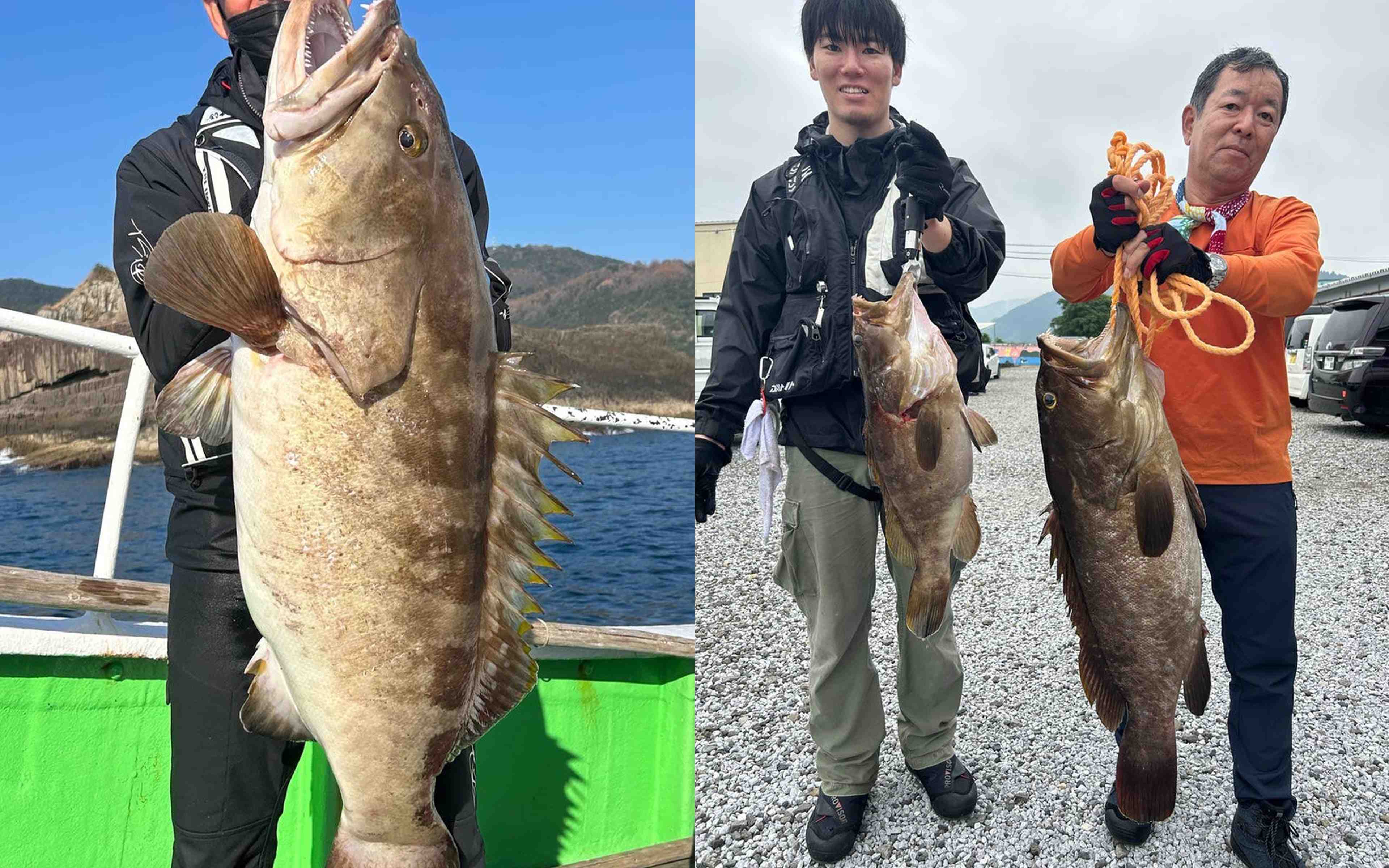 A man with a grouper on the green deck, and two men holding big groupers