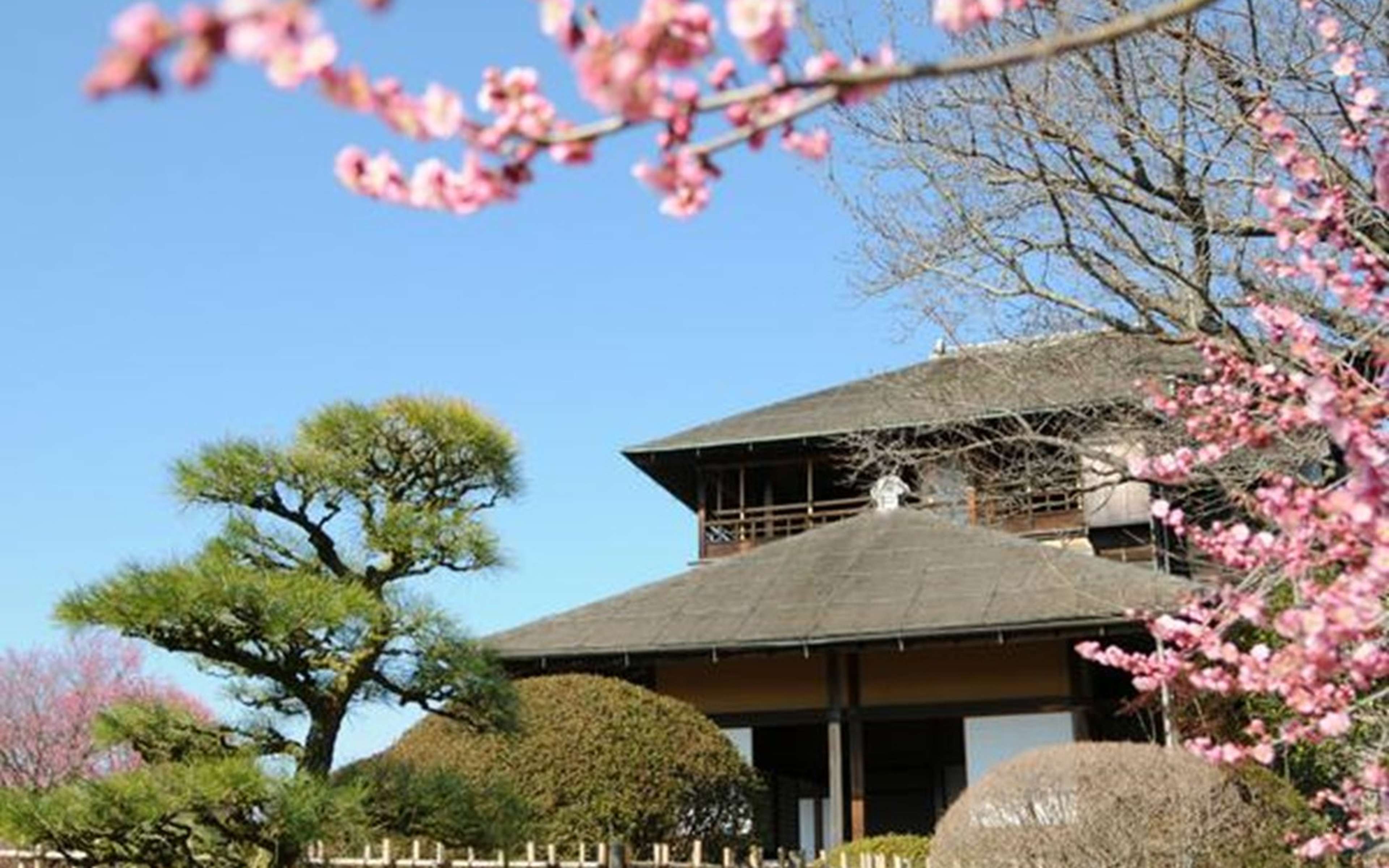 Kashima’s calm coastal atmosphere