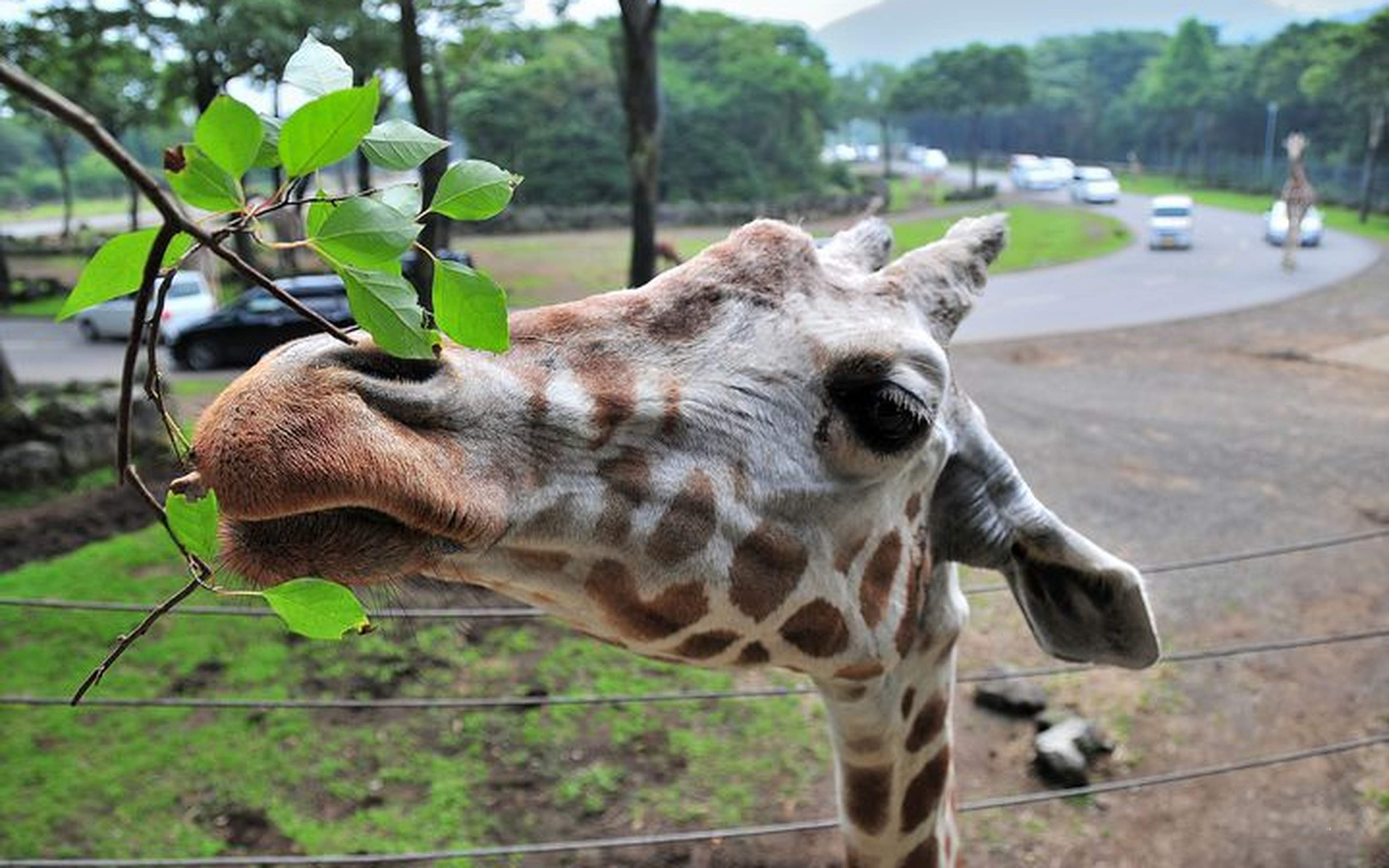 Townscapes and seaside atmosphere in Numazu