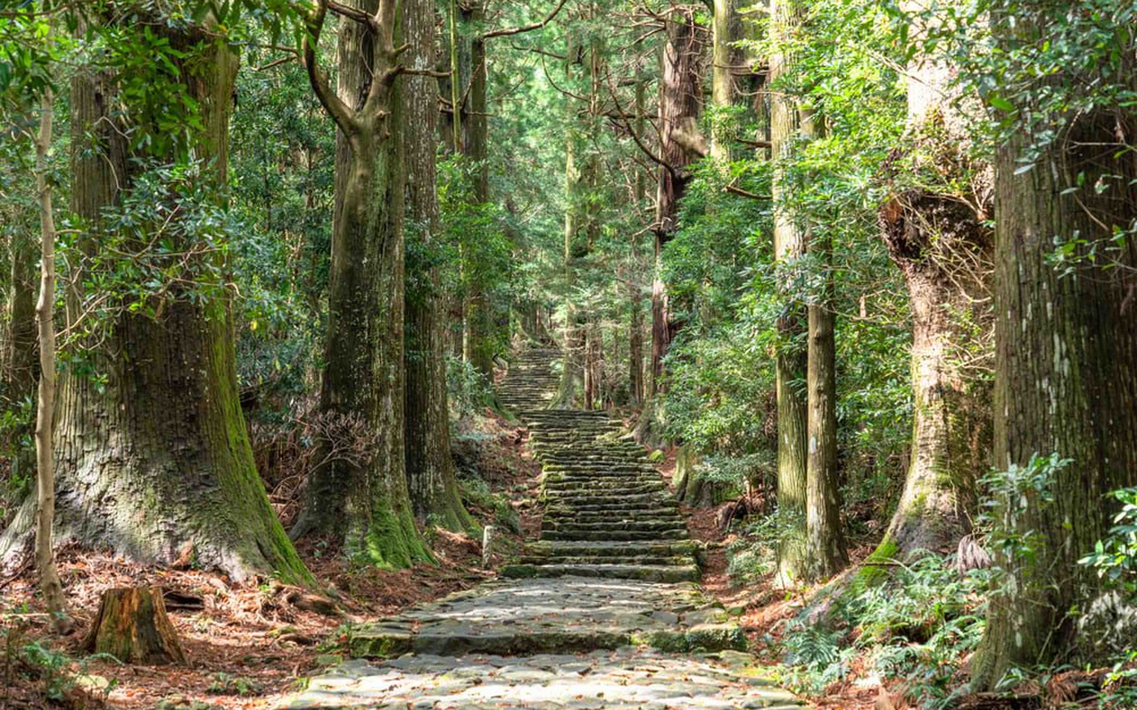Fishing village scenery in Mie Japan