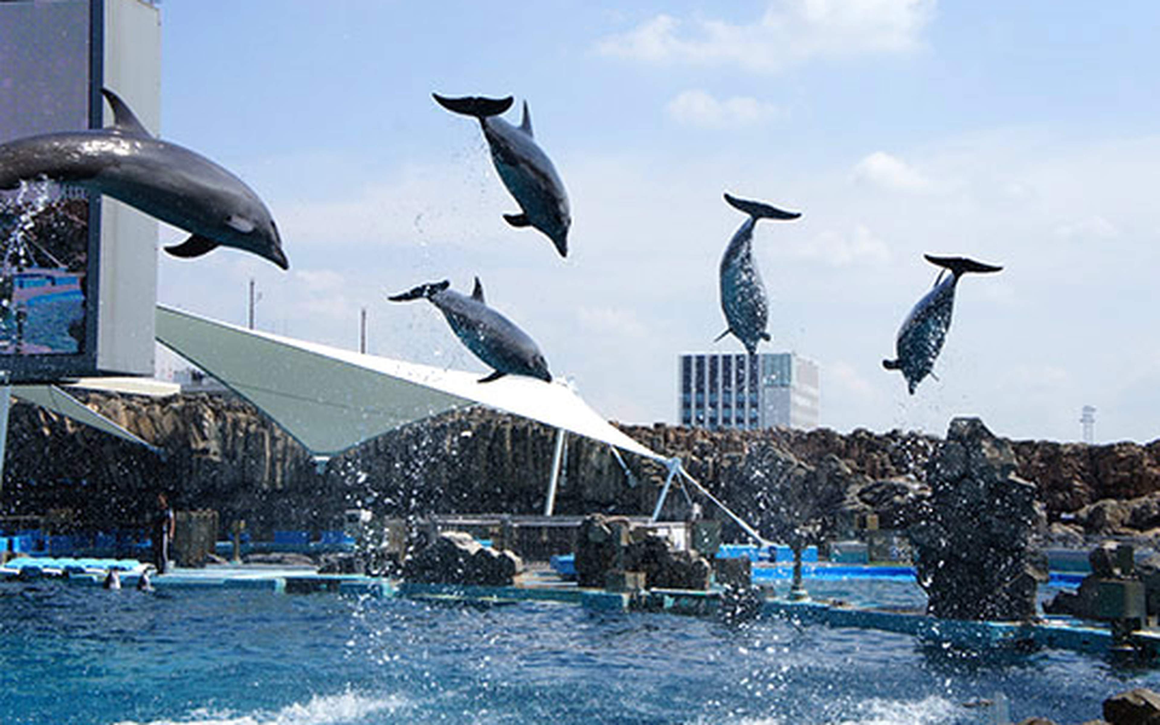 Townscapes and sightseeing spots in Fukui