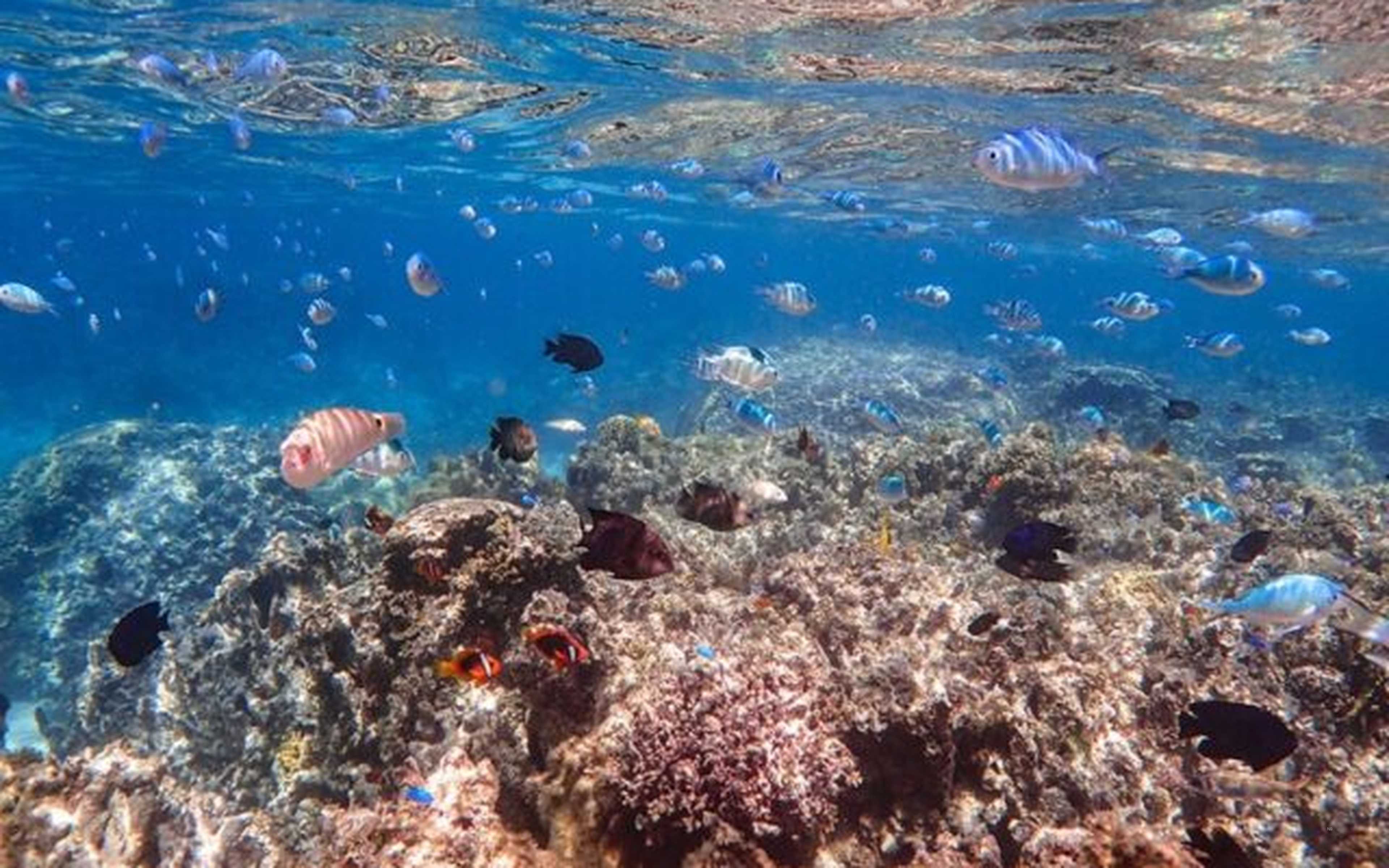 Ishigaki town and island scenery