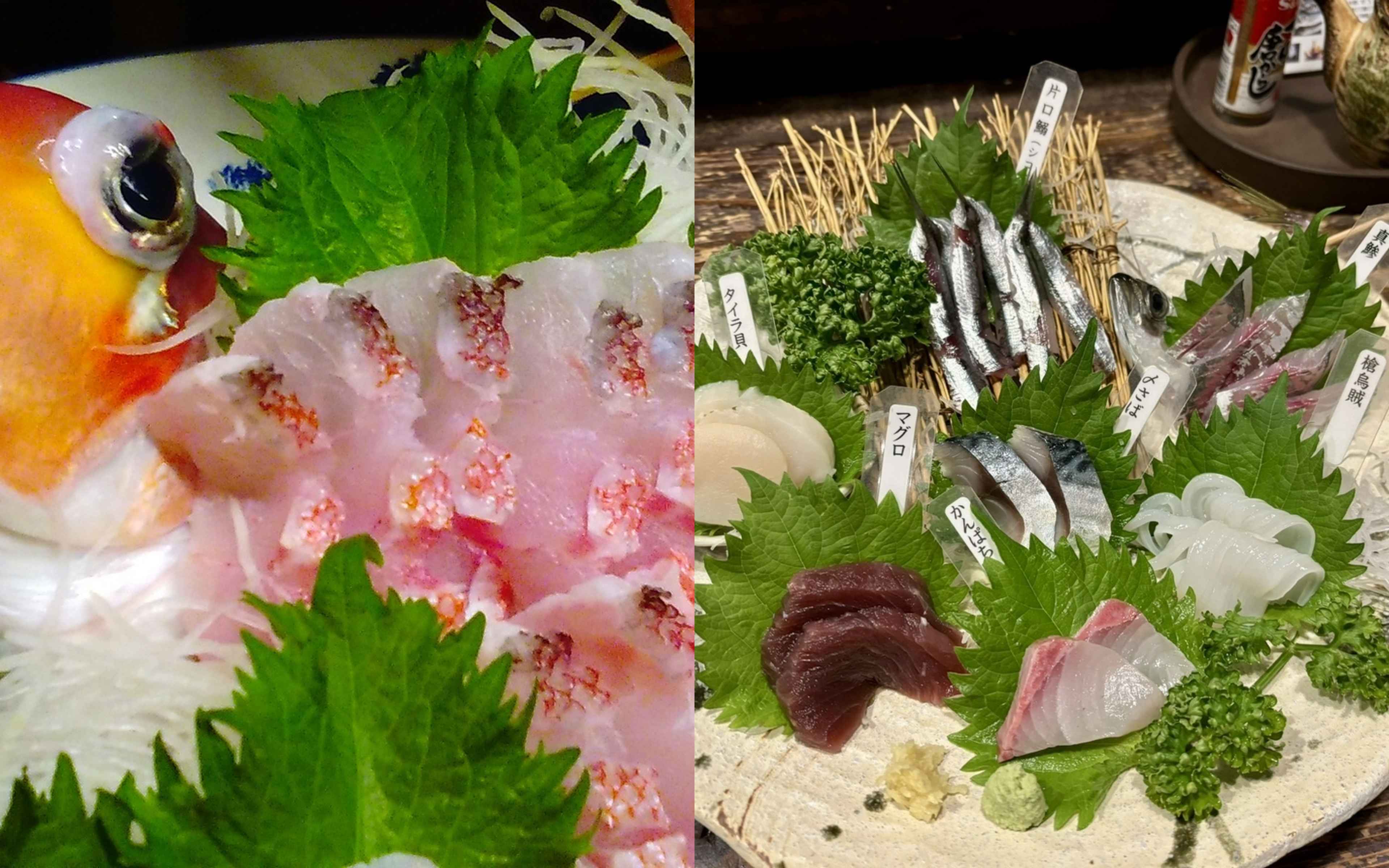 The freshest catch you've reeled in yourself is transformed into the finest meal by the finest chefs!