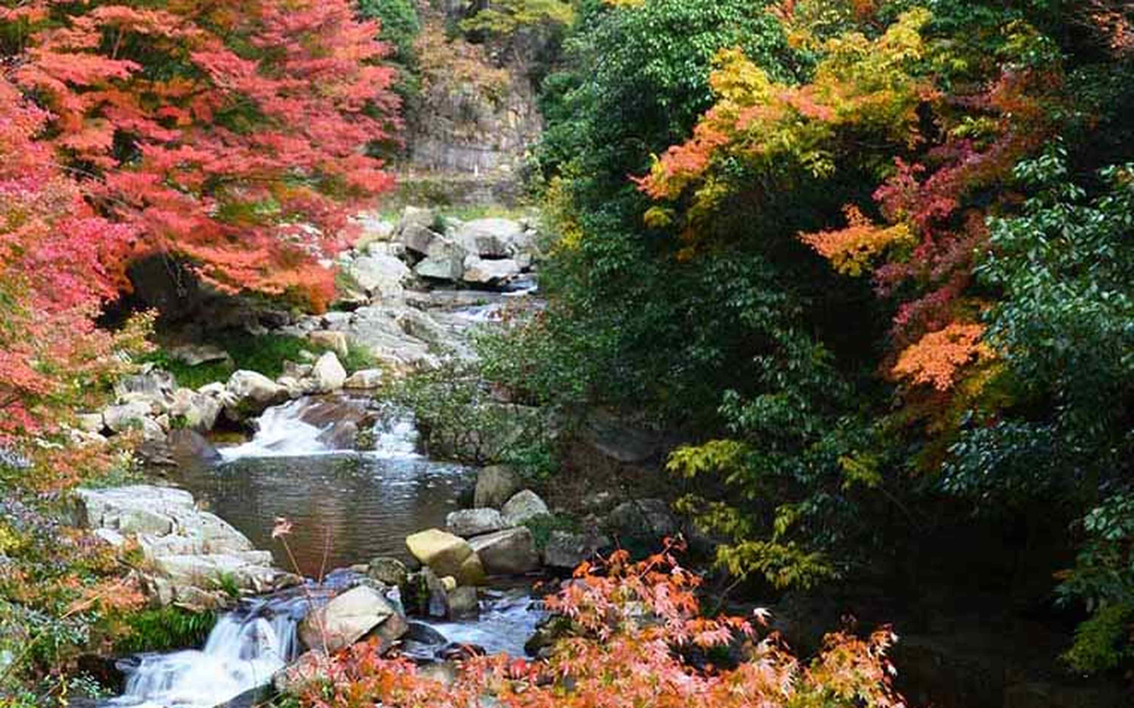 Townscapes and sightseeing spots in Fukui