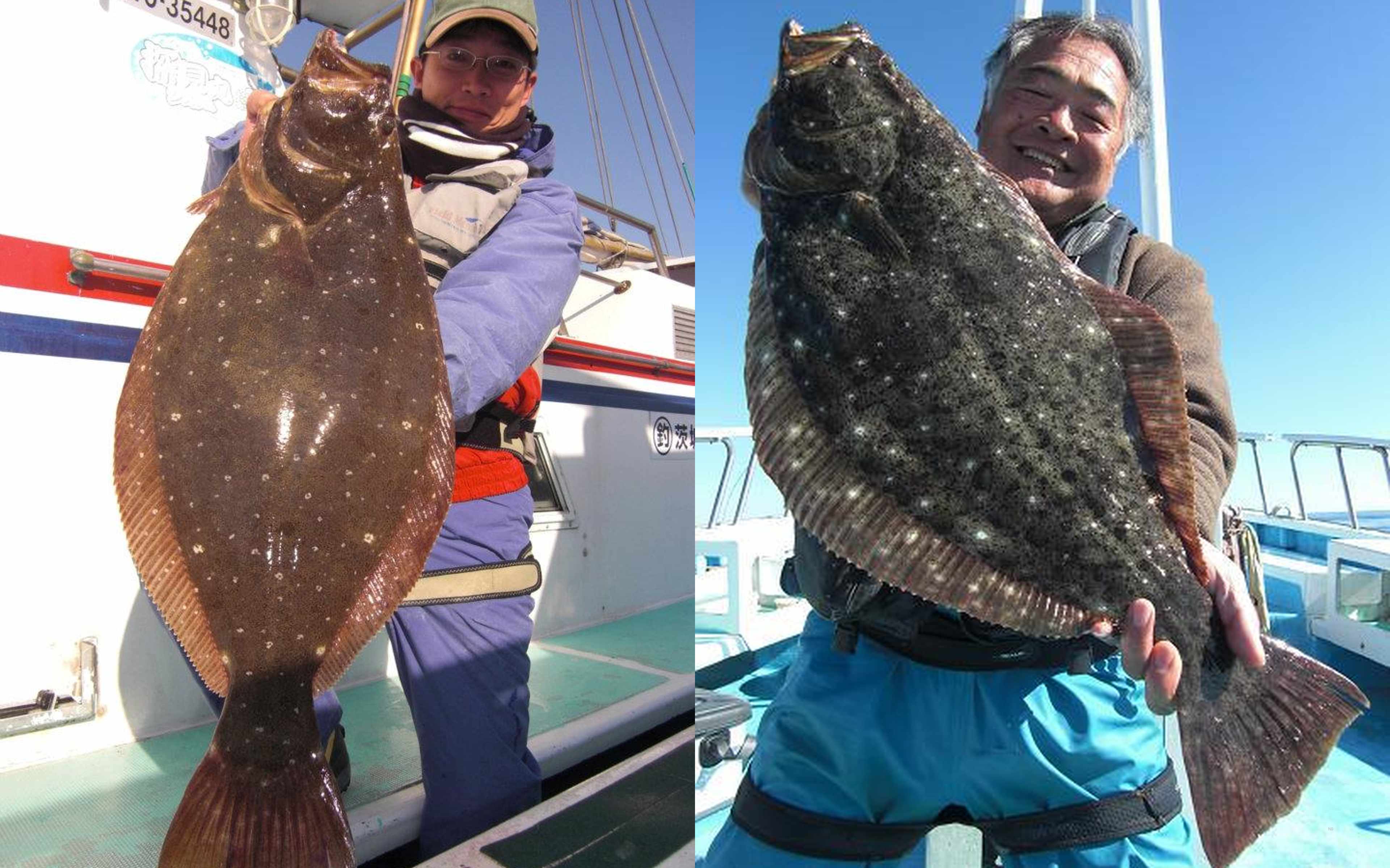 A family-friendly boat with clean facilities and a kind captain