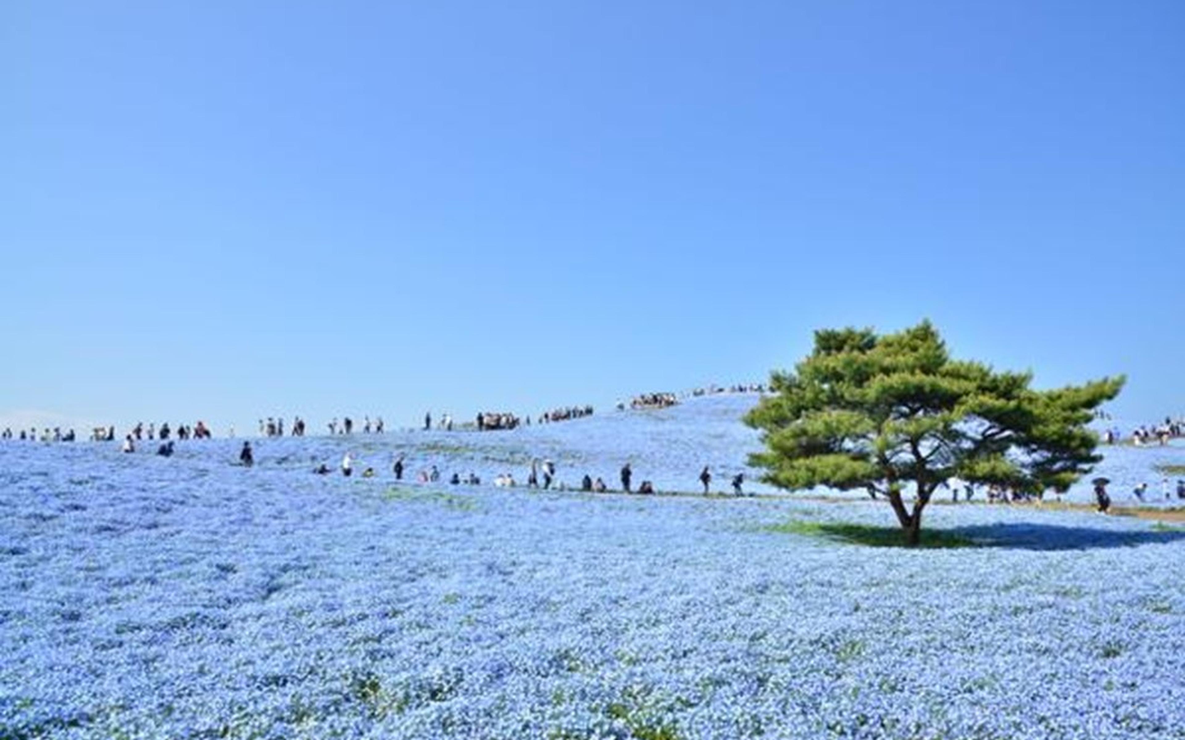 Townscapes and sightseeing spots