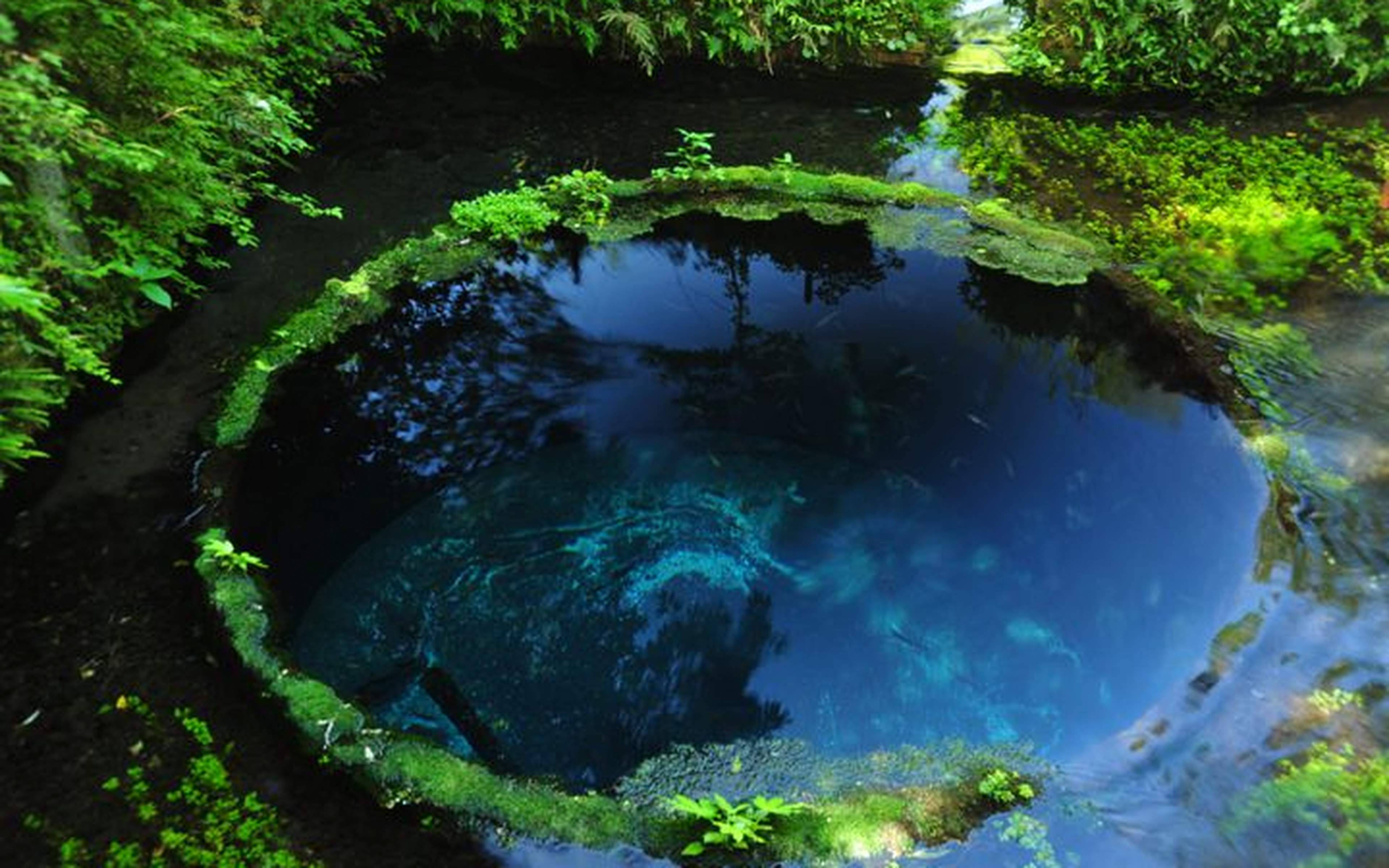 Atami port and surrounding coastal scenery