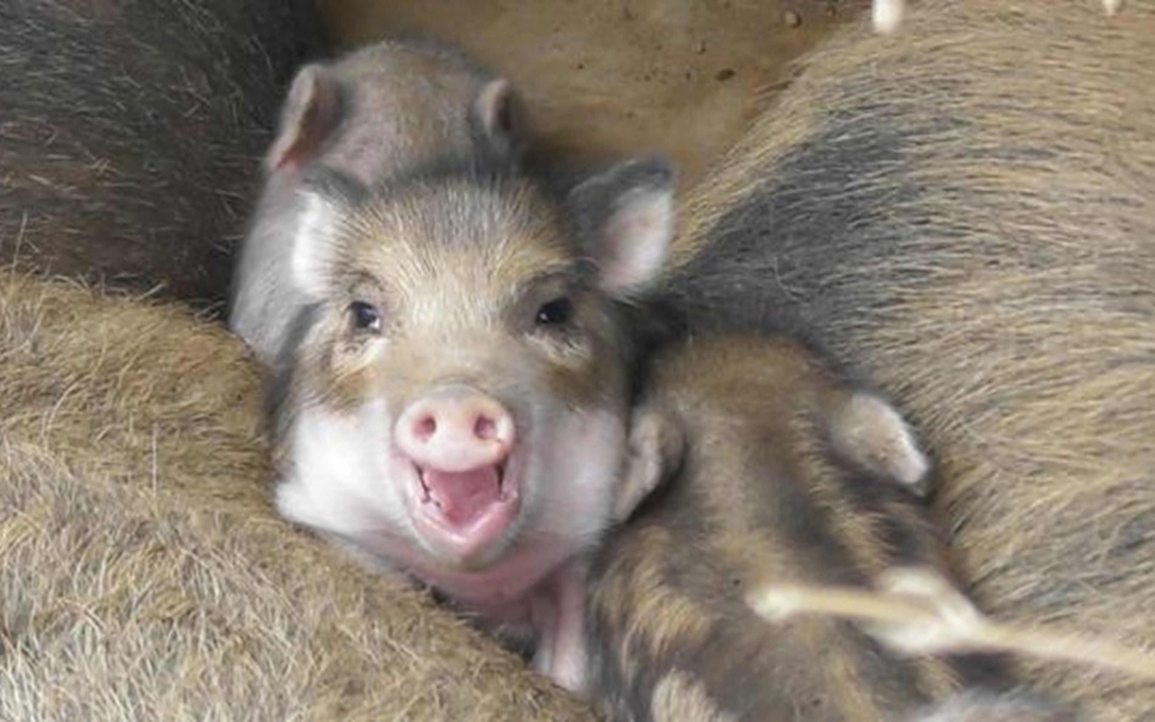 Coastal scenery and port town atmosphere in Ibaraki Japan