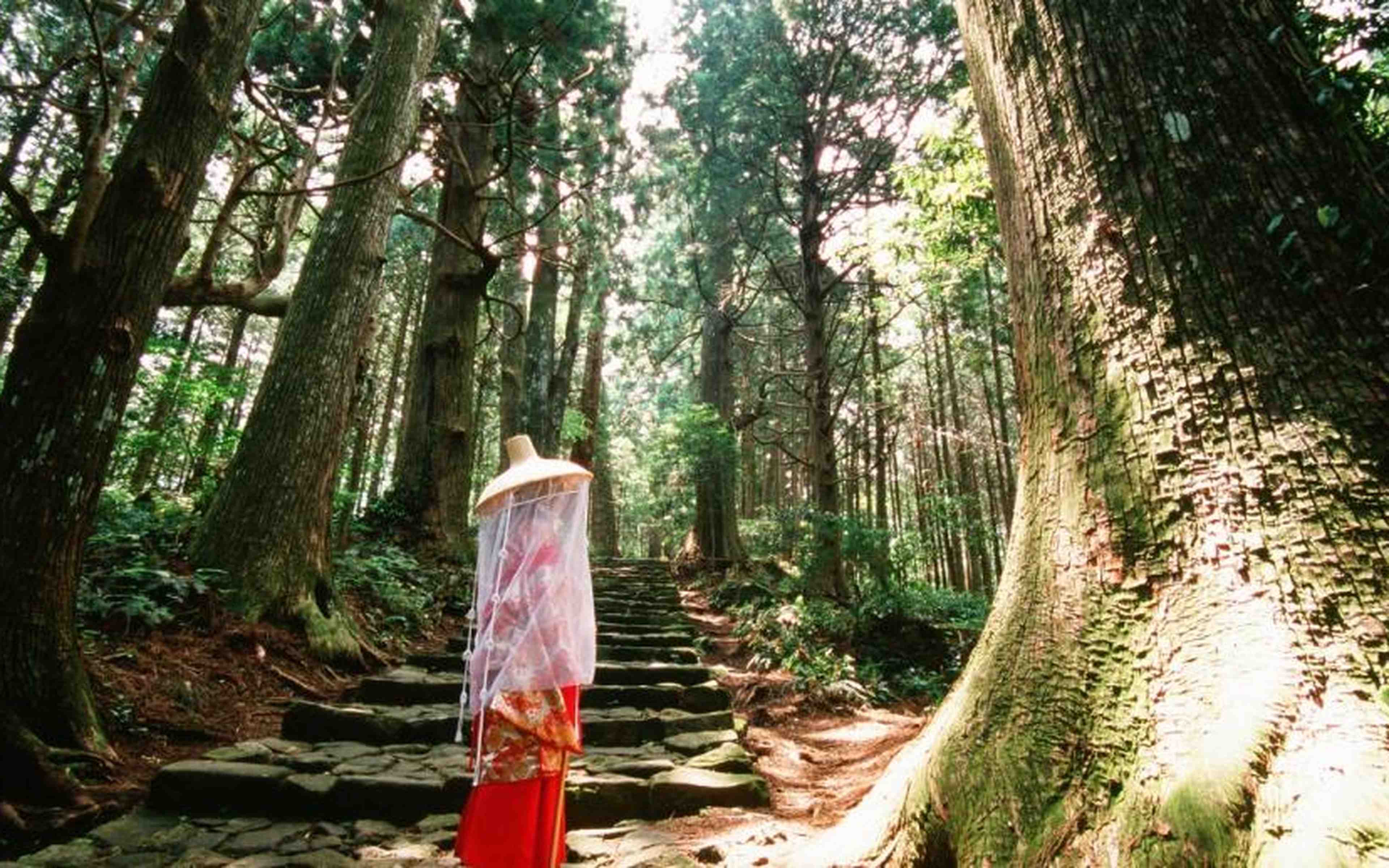 Townscapes and sightseeing spots in Inami, Wakayama