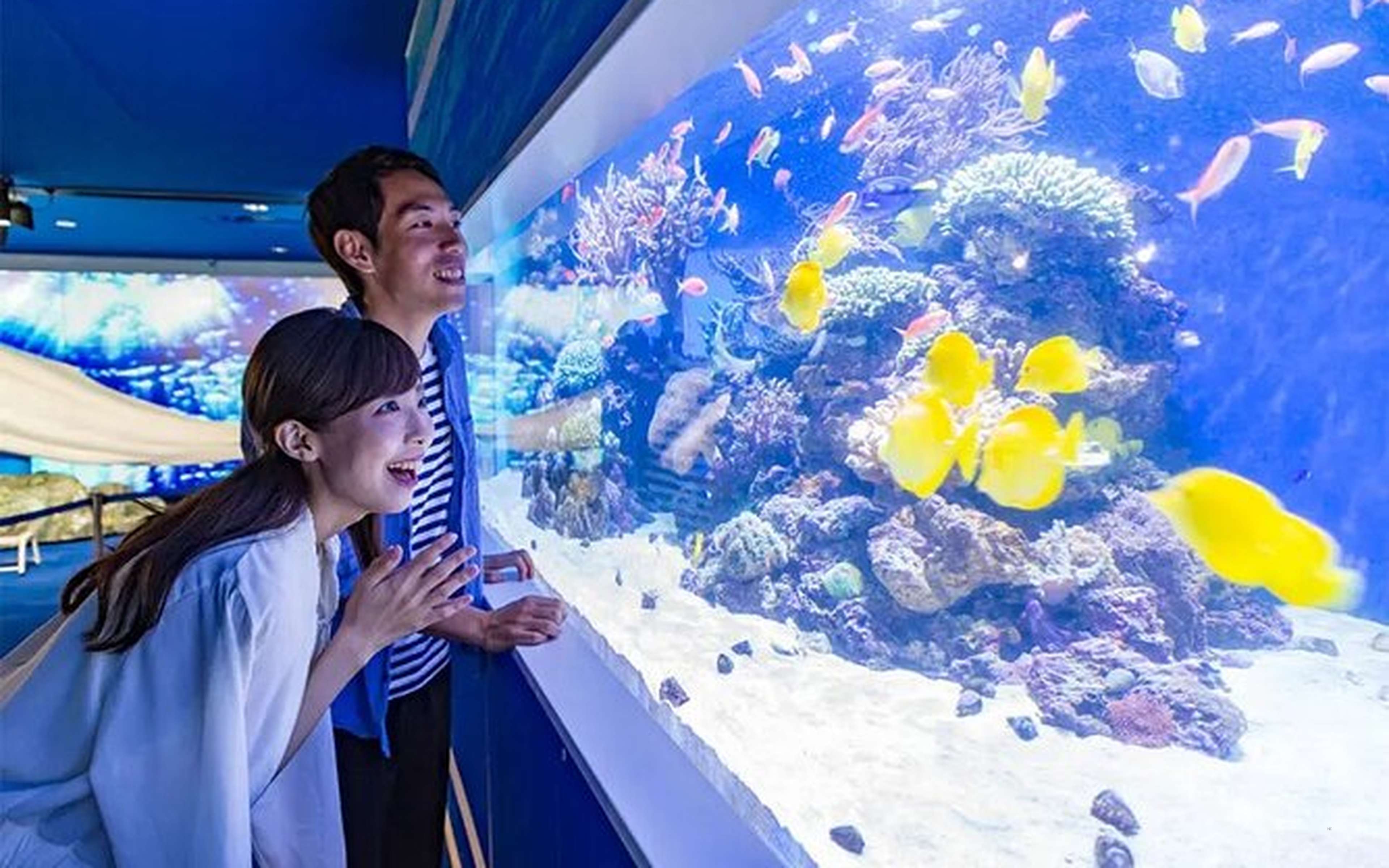 Townscapes and coastal sightseeing spots in Kamakura/Koshigoe