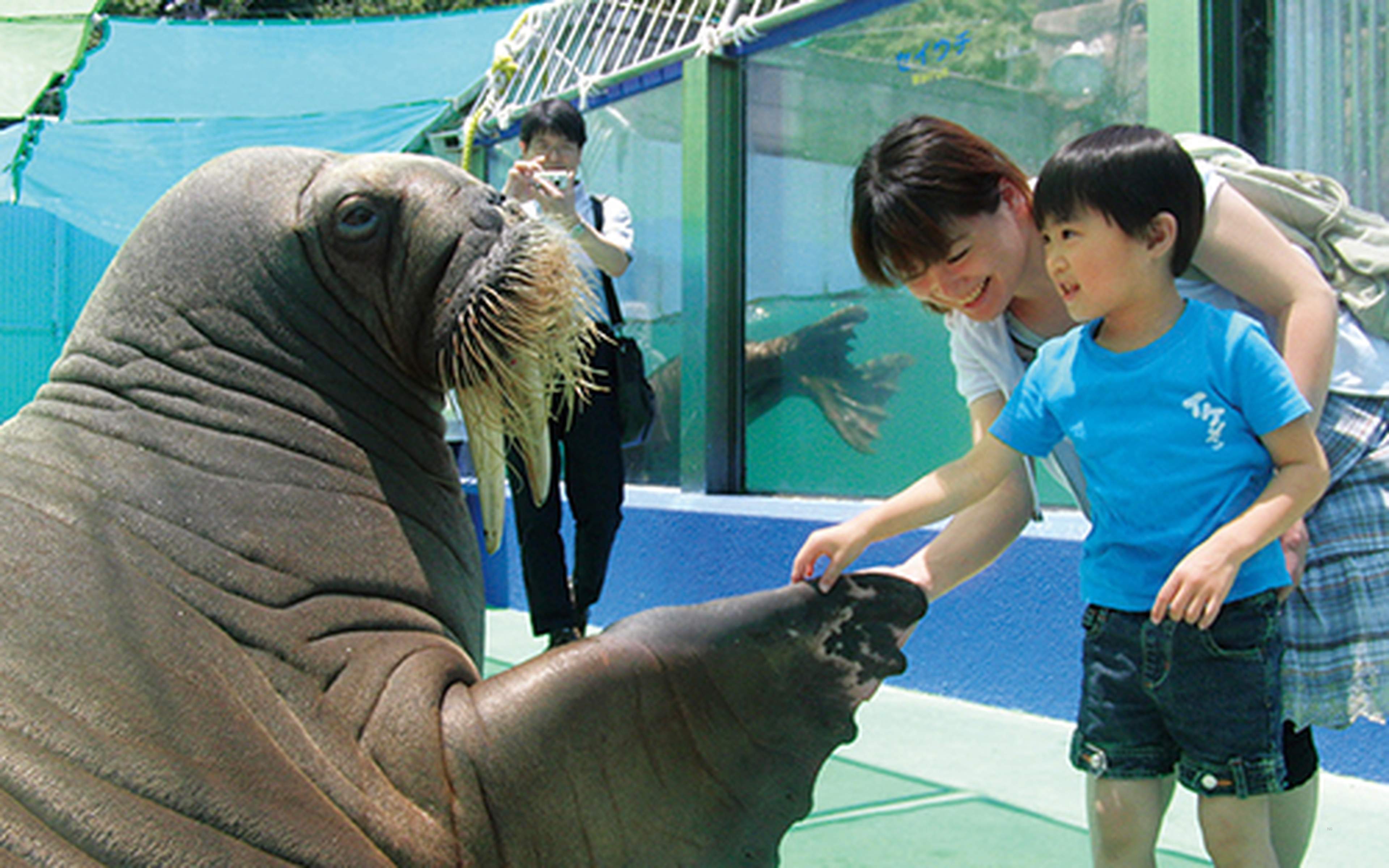 Townscapes and sightseeing spots in Mie Prefecture, Japan