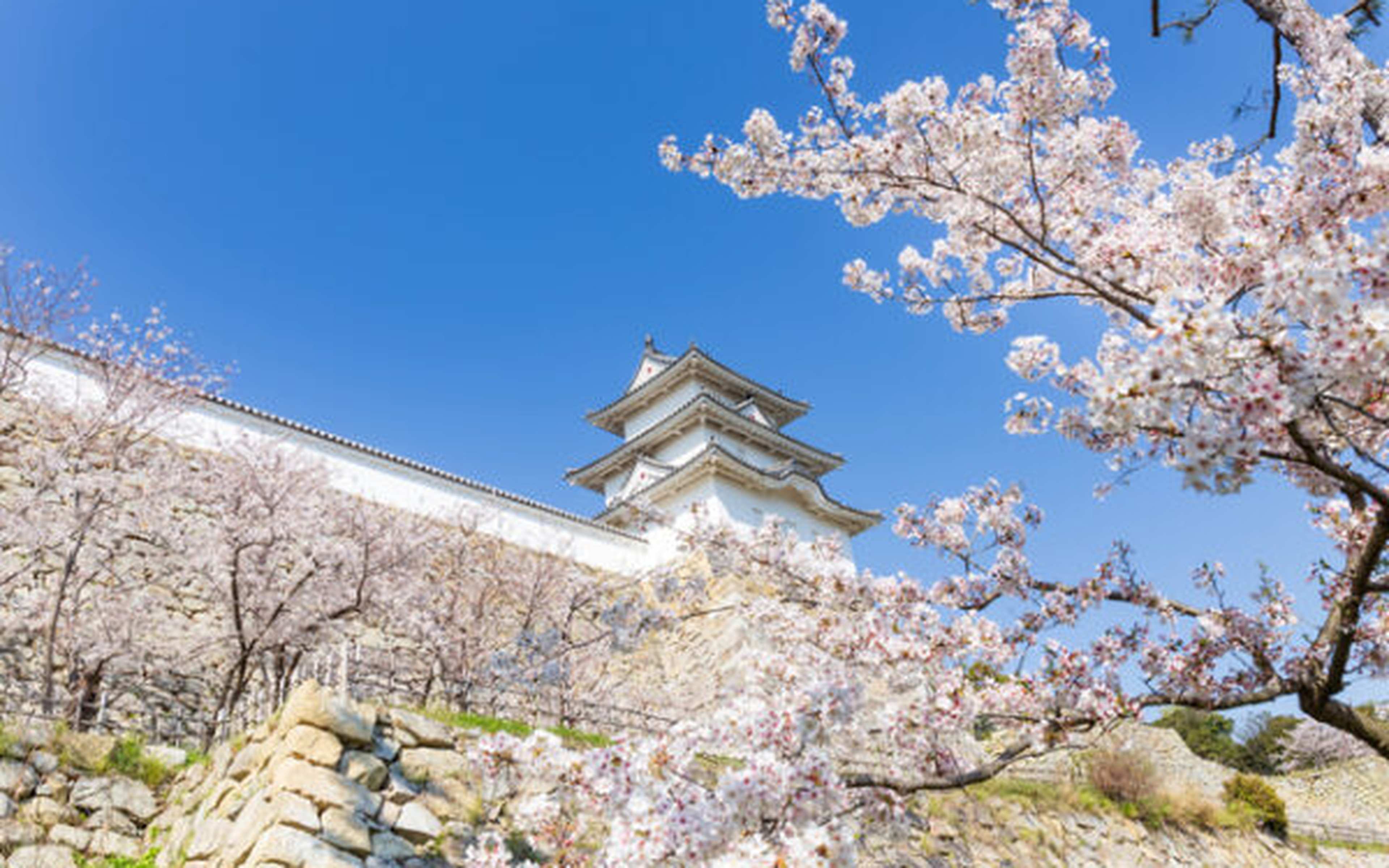 Townscapes and sightseeing spots in Hyogo