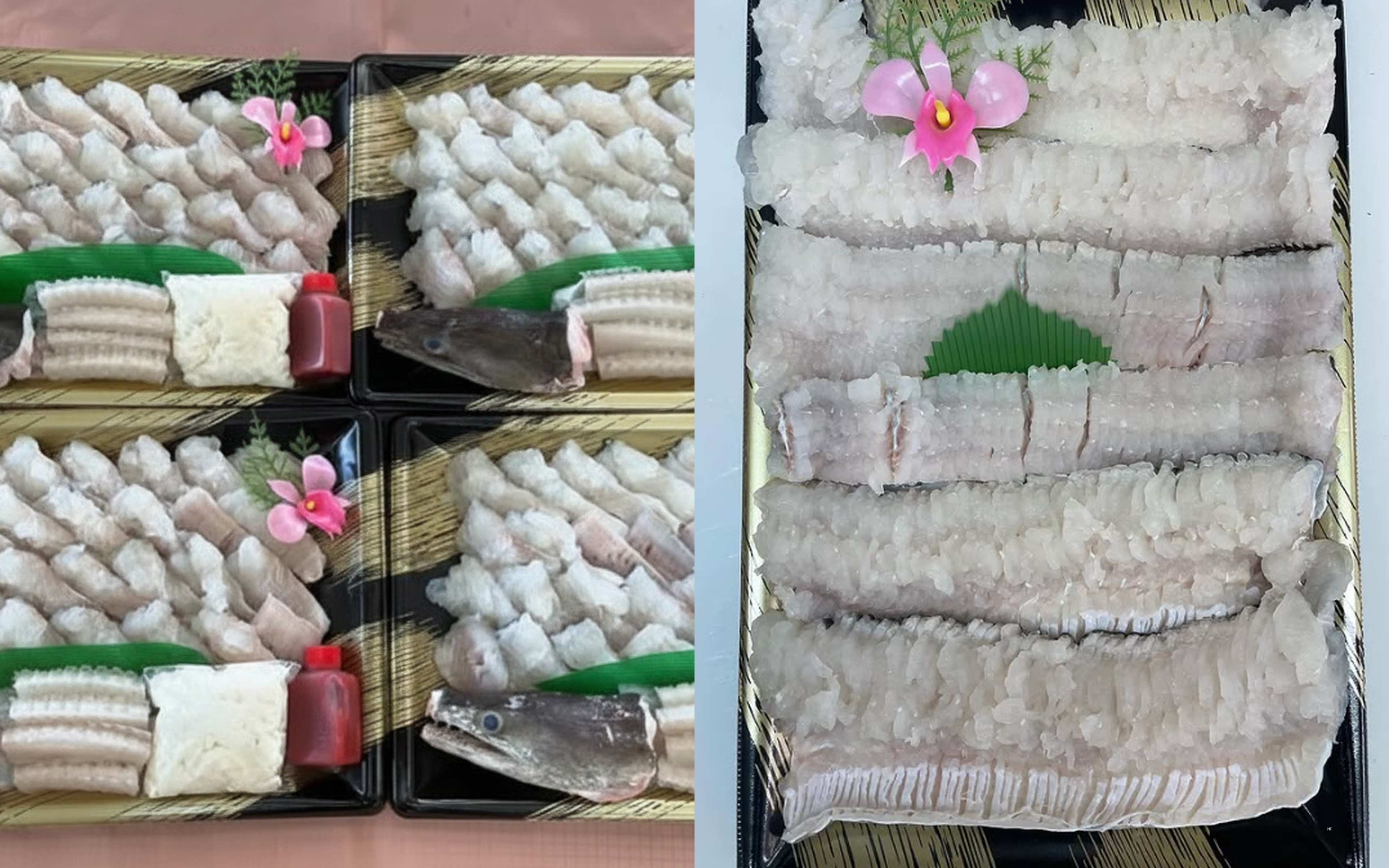 The freshest catch you've reeled in yourself is transformed into the finest meal by the finest chefs!