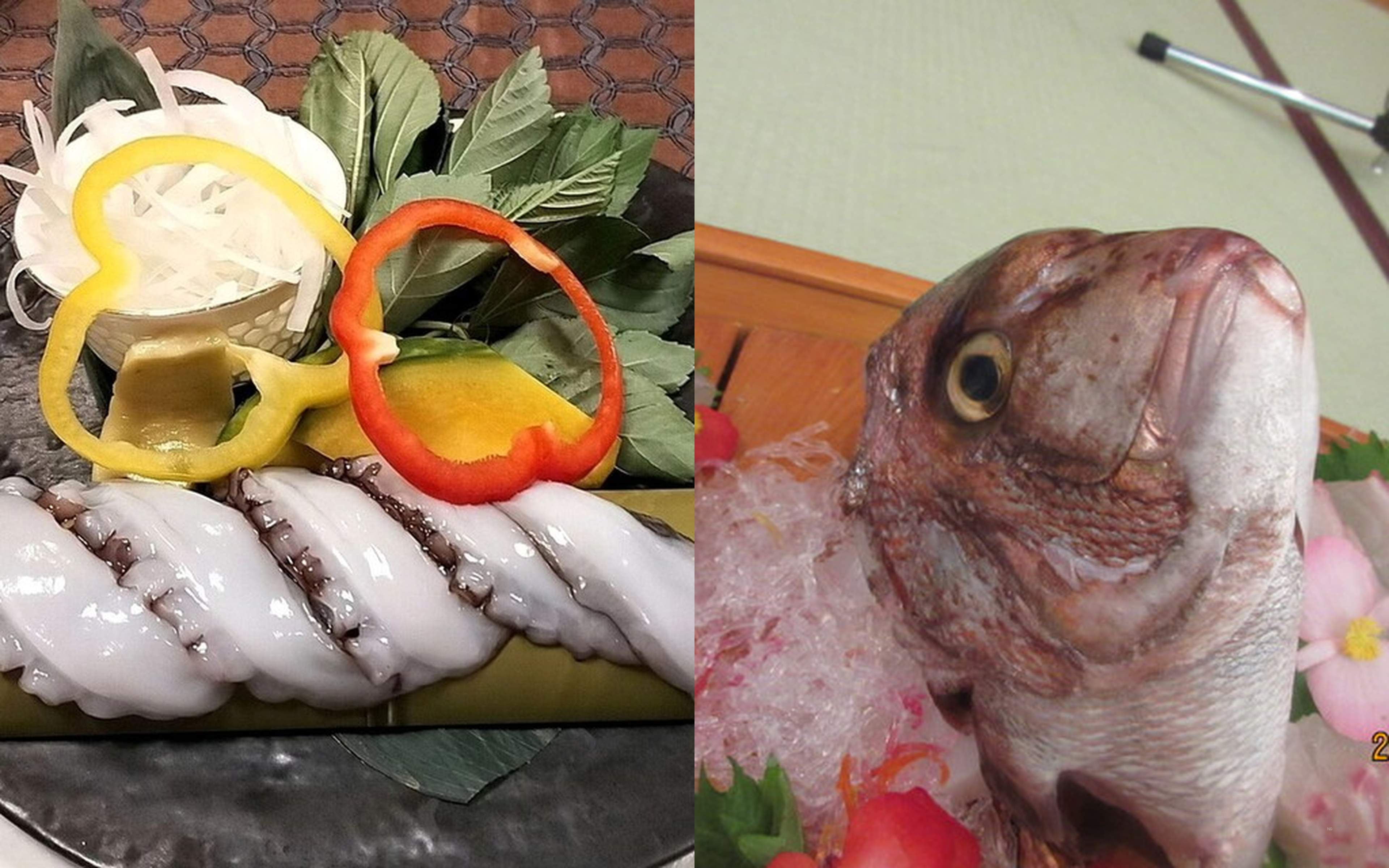 The freshest catch you've reeled in yourself is transformed into the finest meal by the finest chefs!