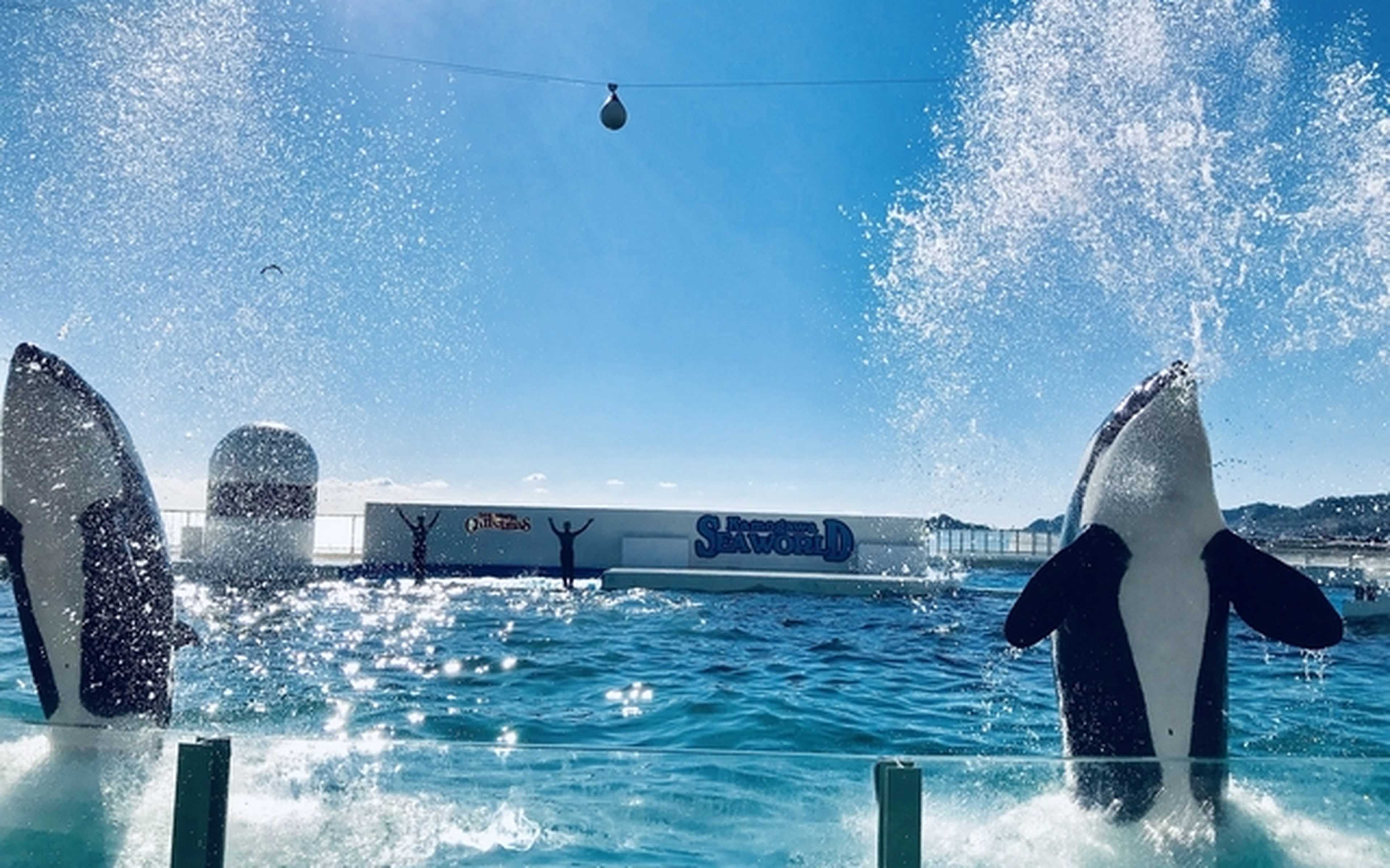 Townscapes and sightseeing spots in Katsuura, Chiba