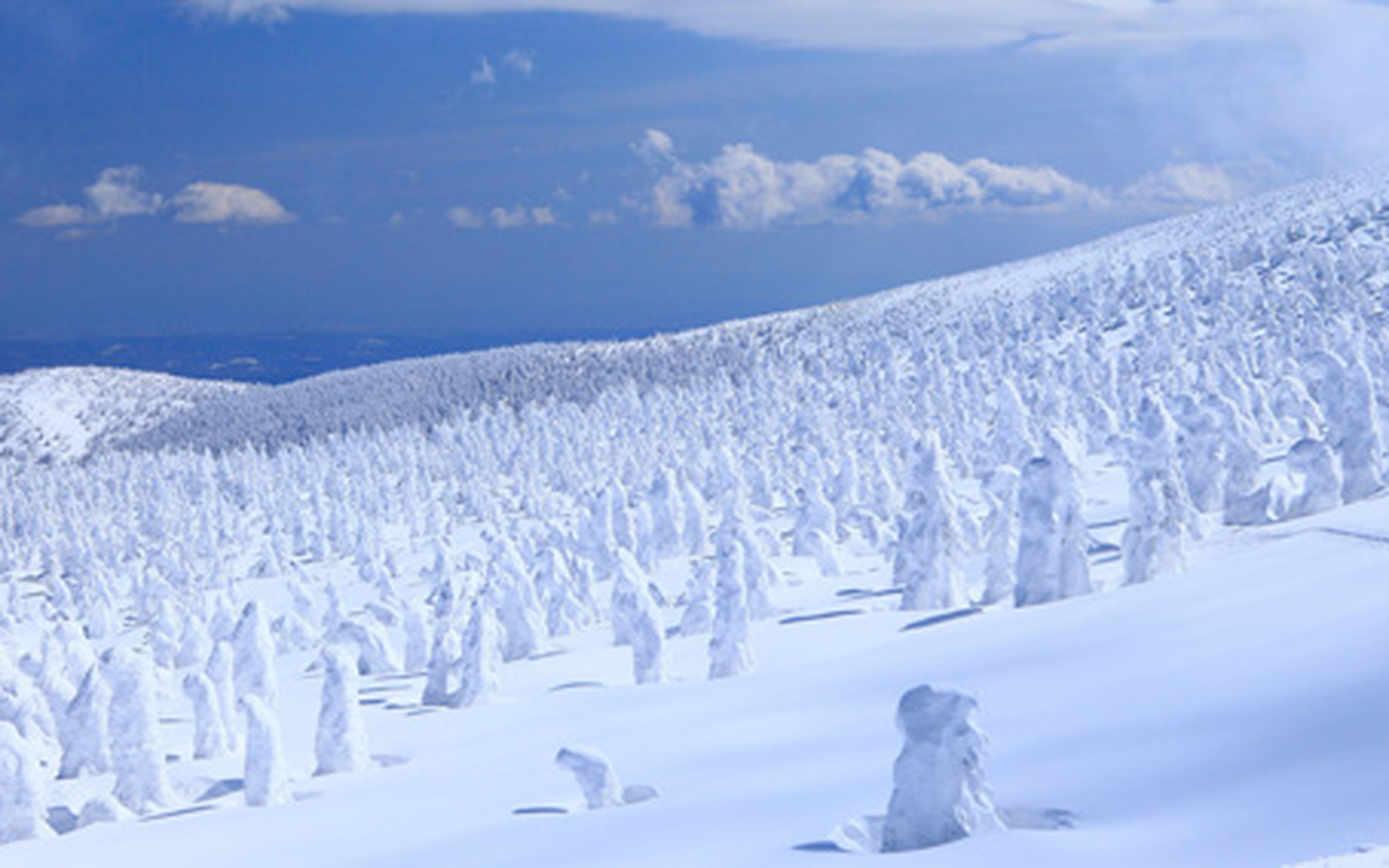 The snow-streaked peak of Mount Chokai rising beyond the Shonai plain, next to the Sea of Japan coastline near Sakata