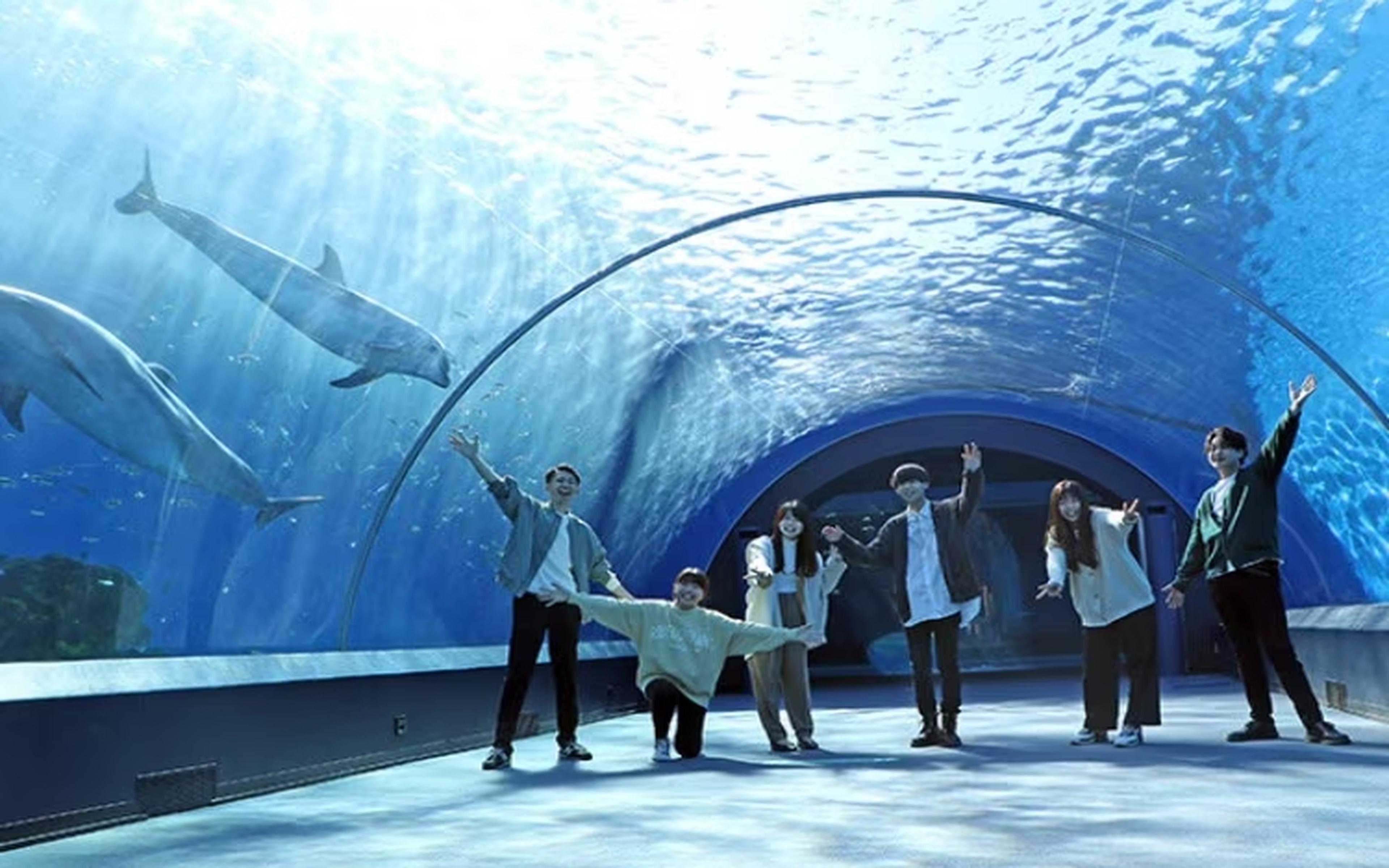 A sightseeing spot in Kanagawa worth pairing with a morning on the water