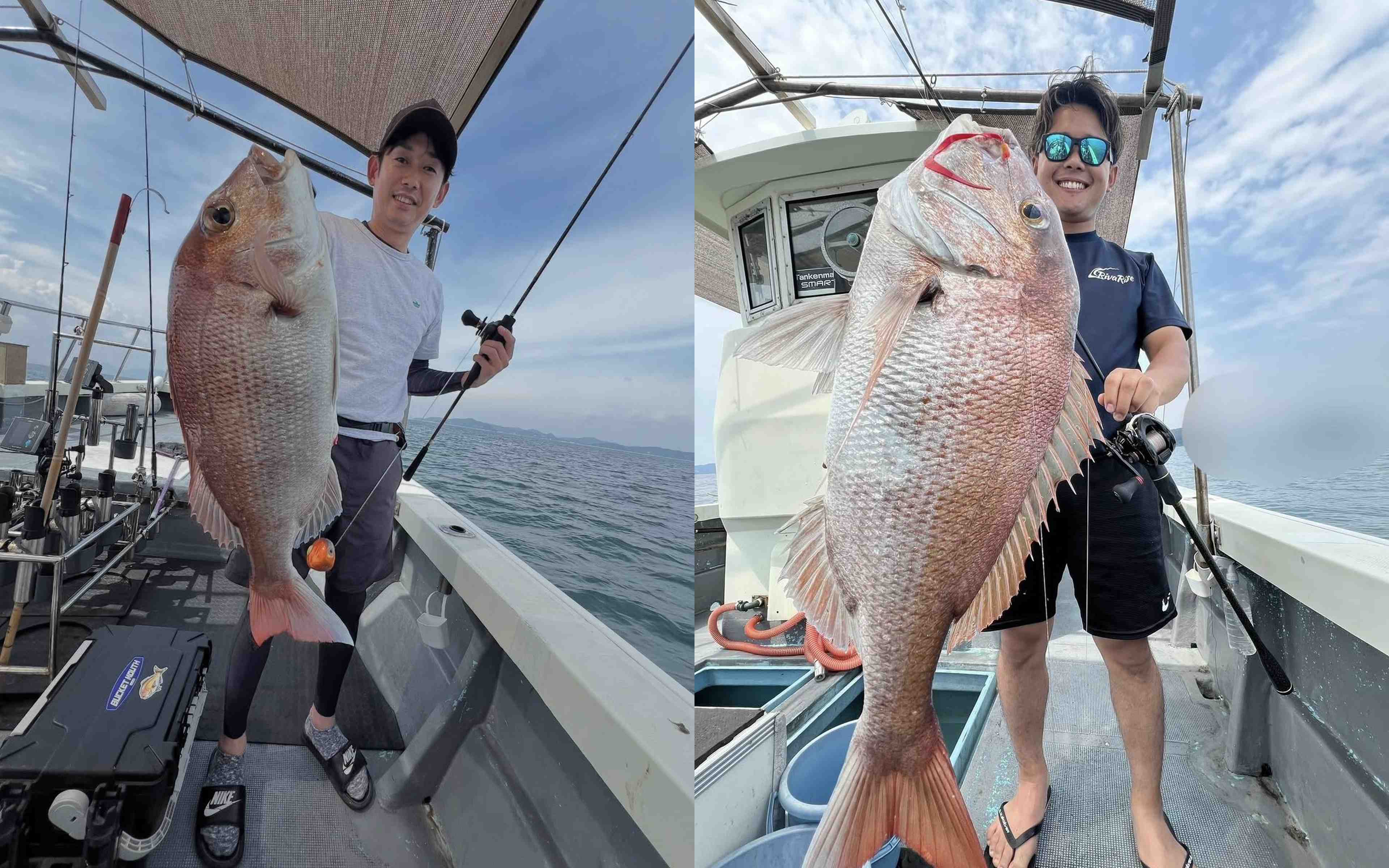 An angler kneeling with a mid-sized red sea bream, and another holding one with a tai-rubber rod in hand