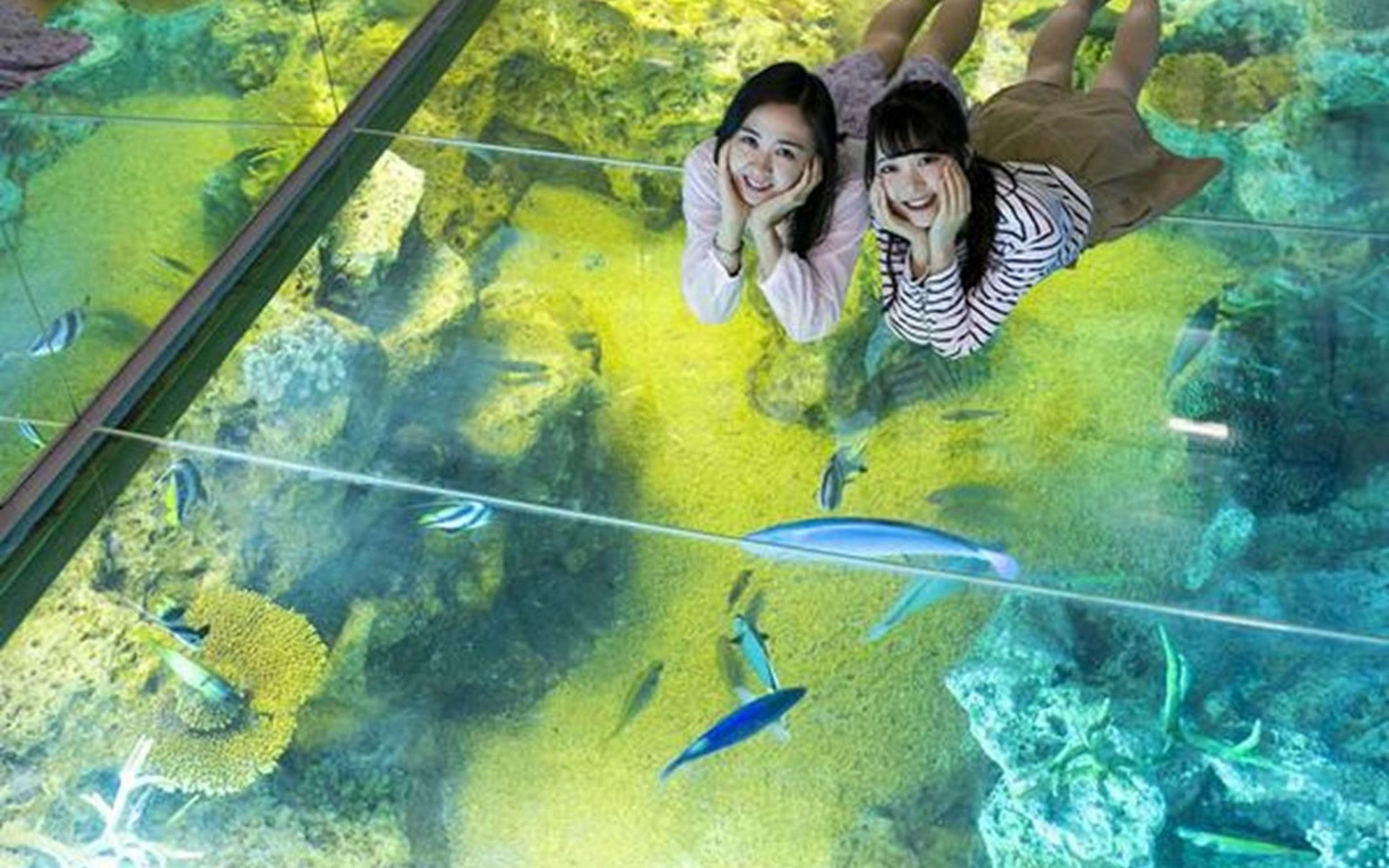 A visitor looking down through a glass floor panel at fish swimming below
